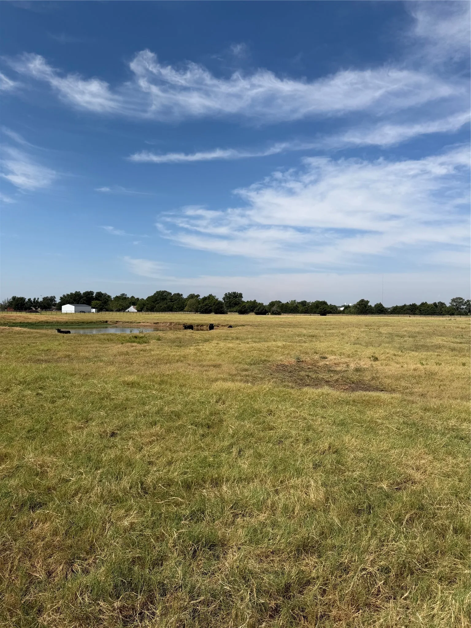 Unimproved Land For Sale in Grayson County , 215 Batey, Collinsville, Texas 76233, 0, 0, Garage spaces, 0 Sqft, built in 0, mls#21371958, Real Estate Agent in Collinsville, Homes For Sale in Grayson county, Homes For Sale in Collinsville, Realtor in Collinsville Texas, Real Estate Brokerage Independent Realty Texas, Luminita Cordes Realtor