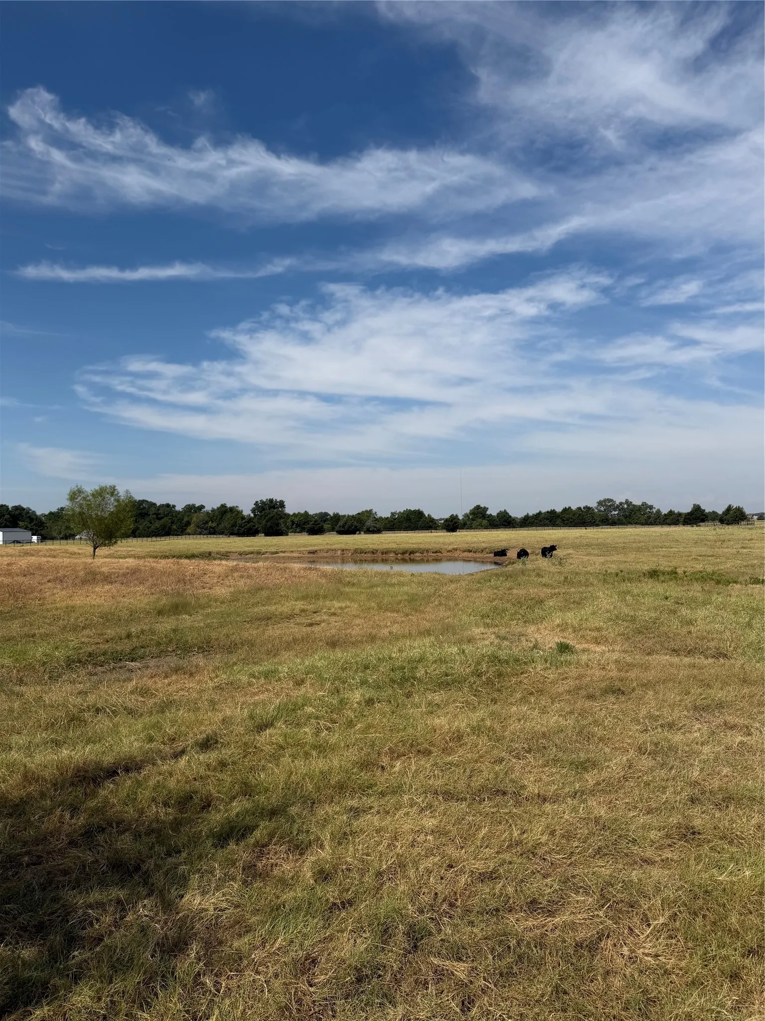 Unimproved Land For Sale in Grayson County , 215 Batey, Collinsville, Texas 76233, 0, 0, Garage spaces, 0 Sqft, built in 0, mls#21371958, Real Estate Agent in Collinsville, Homes For Sale in Grayson county, Homes For Sale in Collinsville, Realtor in Collinsville Texas, Real Estate Brokerage Independent Realty Texas, Luminita Cordes Realtor