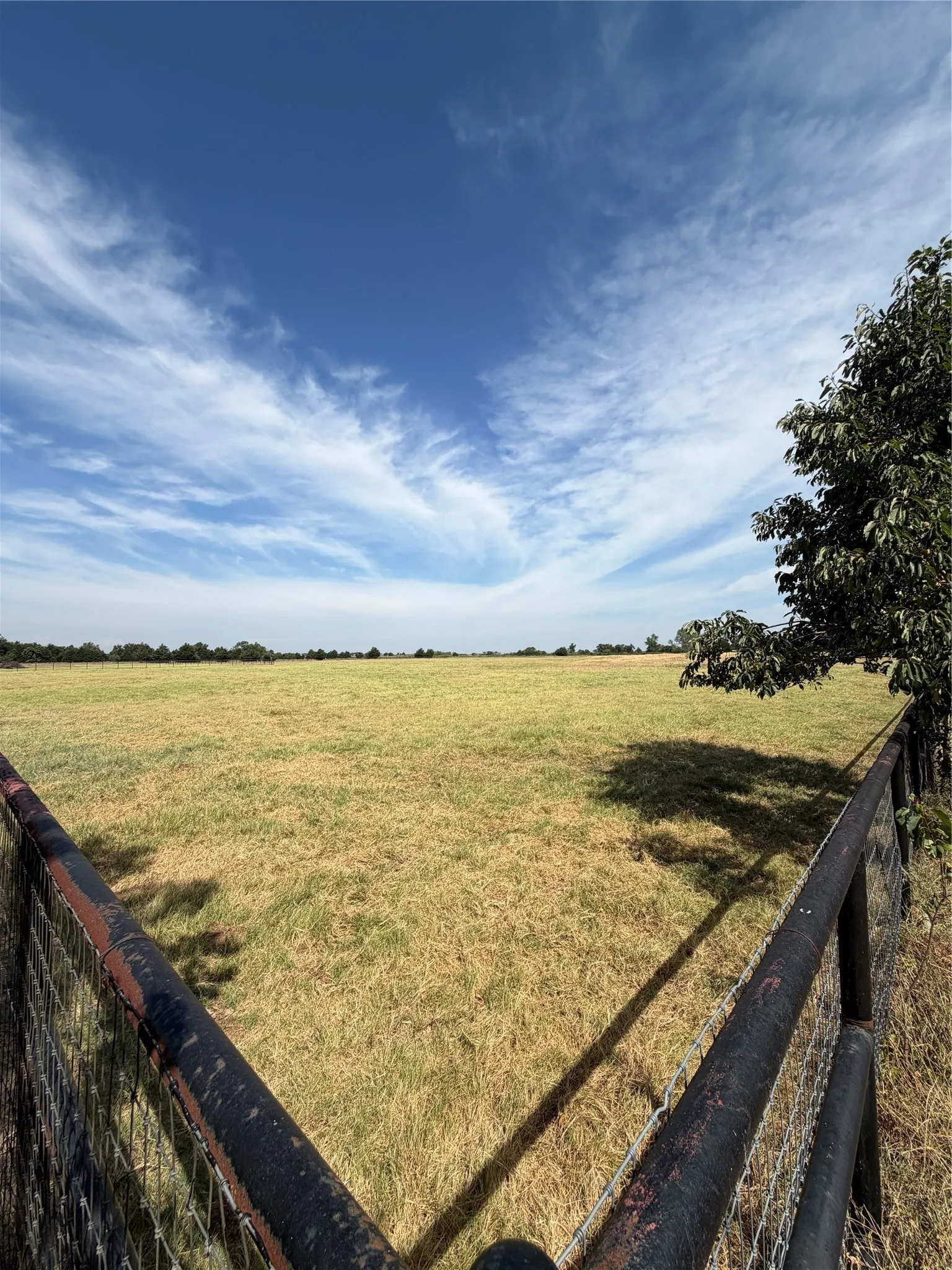 Unimproved Land For Sale in Grayson County , 215 Batey, Collinsville, Texas 76233, 0, 0, Garage spaces, 0 Sqft, built in 0, mls#21371958, Real Estate Agent in Collinsville, Homes For Sale in Grayson county, Homes For Sale in Collinsville, Realtor in Collinsville Texas, Real Estate Brokerage Independent Realty Texas, Luminita Cordes Realtor