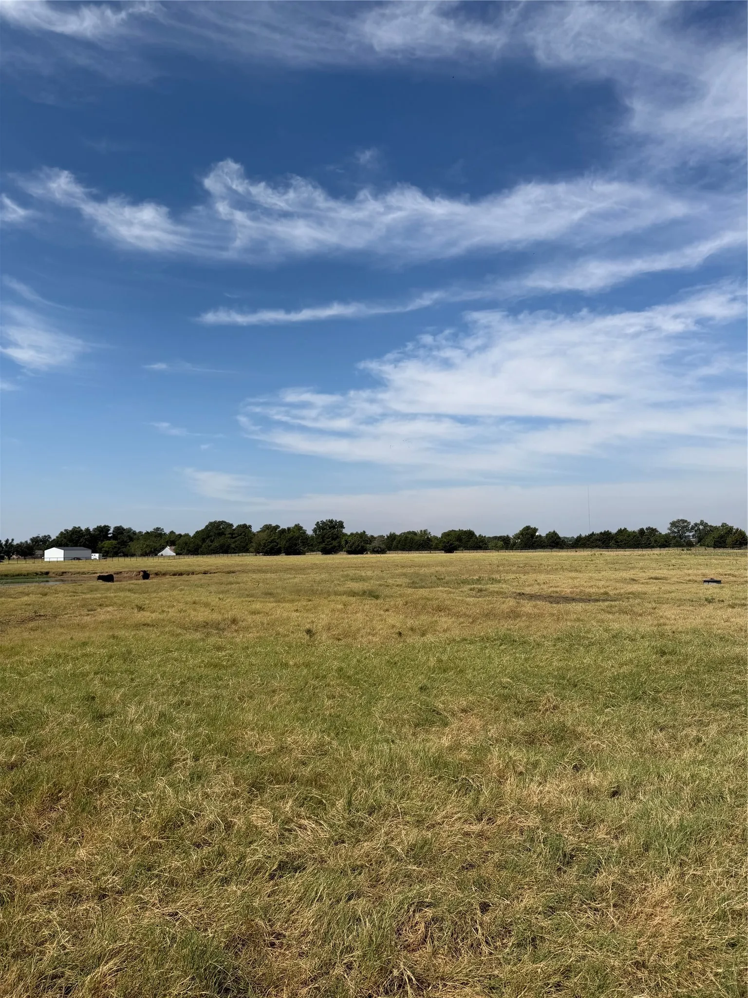 Unimproved Land For Sale in Grayson County , 215 Batey, Collinsville, Texas 76233, 0, 0, Garage spaces, 0 Sqft, built in 0, mls#21371958, Real Estate Agent in Collinsville, Homes For Sale in Grayson county, Homes For Sale in Collinsville, Realtor in Collinsville Texas, Real Estate Brokerage Independent Realty Texas, Luminita Cordes Realtor