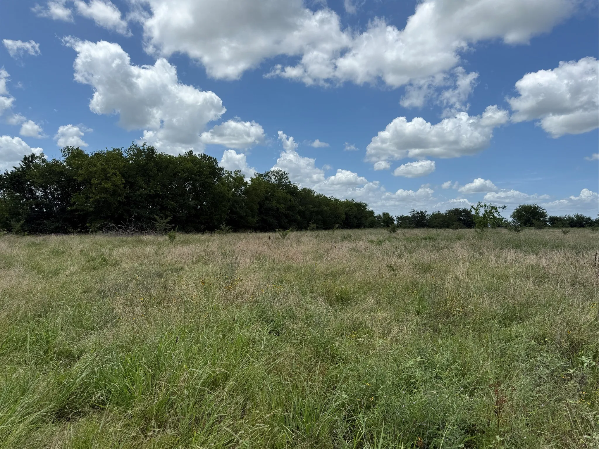 Retail For Sale in Hopkins County , 0 FM 2653 WS INSIDE Track 4, Sulphur Springs, Texas 75482, 0, 0, Garage spaces, 0 Sqft, built in 0, mls#21382489, Real Estate Agent in Sulphur Springs, Homes For Sale in Hopkins county, Homes For Sale in Sulphur Springs, Realtor in Sulphur Springs Texas, Real Estate Brokerage Independent Realty Texas, Luminita Cordes Realtor