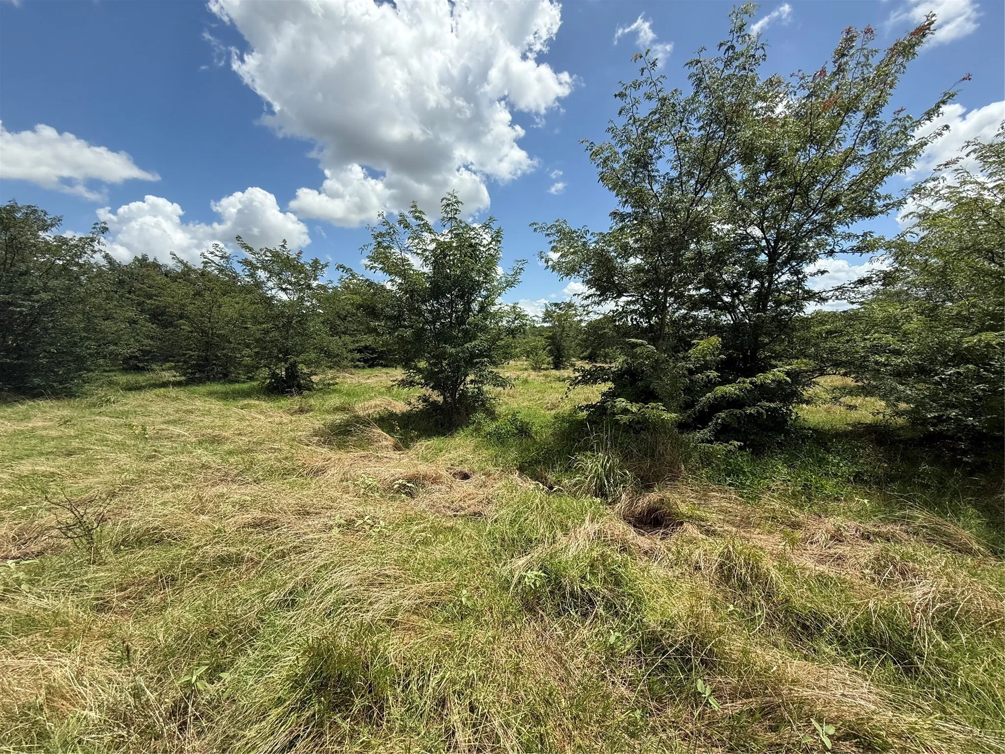 Retail For Sale in Hopkins County , 0 FM 2653 WS INSIDE Track 4, Sulphur Springs, Texas 75482, 0, 0, Garage spaces, 0 Sqft, built in 0, mls#21382489, Real Estate Agent in Sulphur Springs, Homes For Sale in Hopkins county, Homes For Sale in Sulphur Springs, Realtor in Sulphur Springs Texas, Real Estate Brokerage Independent Realty Texas, Luminita Cordes Realtor