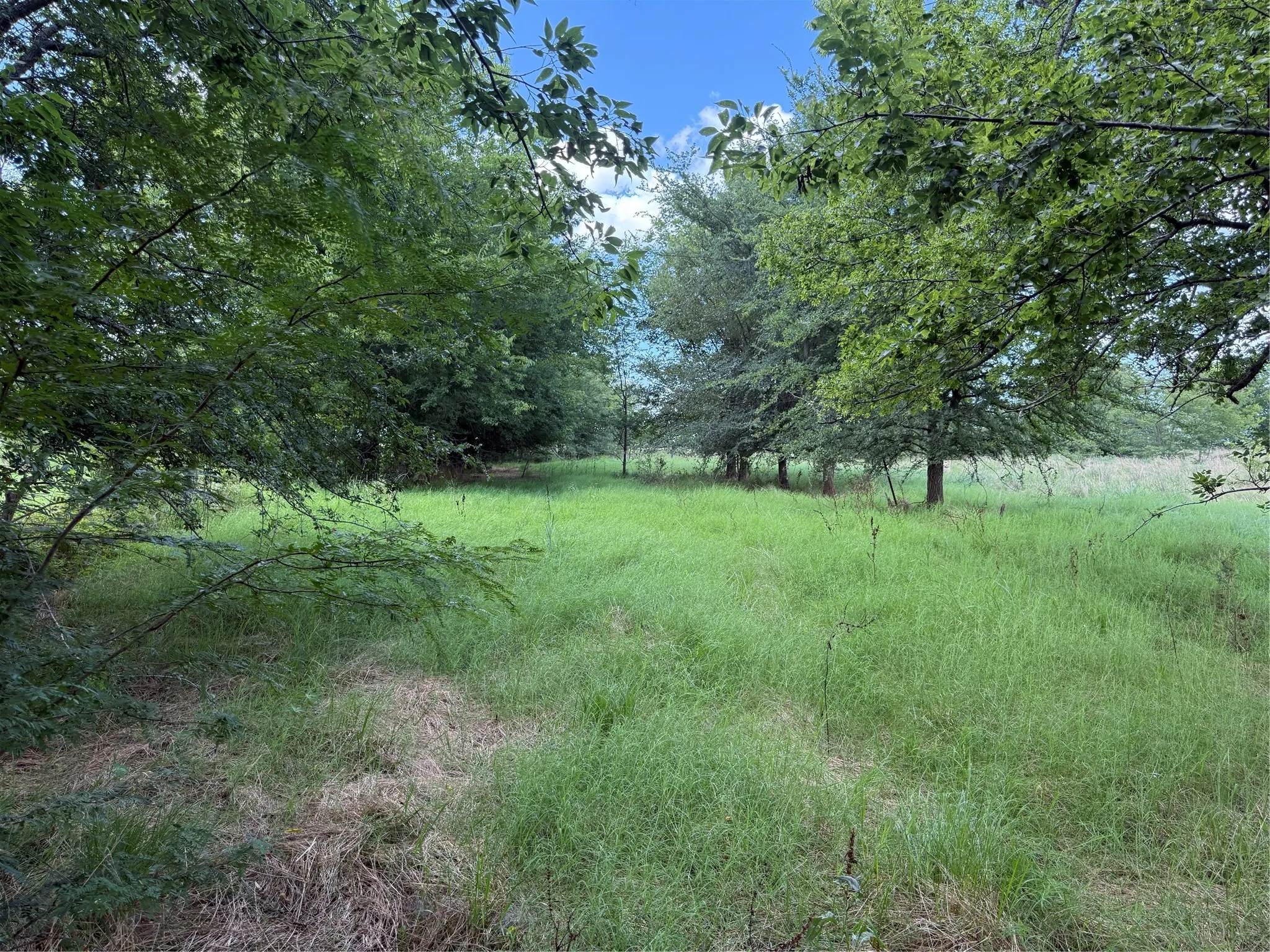 Retail For Sale in Hopkins County , 0 FM 2653 WS INSIDE Track 4, Sulphur Springs, Texas 75482, 0, 0, Garage spaces, 0 Sqft, built in 0, mls#21382489, Real Estate Agent in Sulphur Springs, Homes For Sale in Hopkins county, Homes For Sale in Sulphur Springs, Realtor in Sulphur Springs Texas, Real Estate Brokerage Independent Realty Texas, Luminita Cordes Realtor