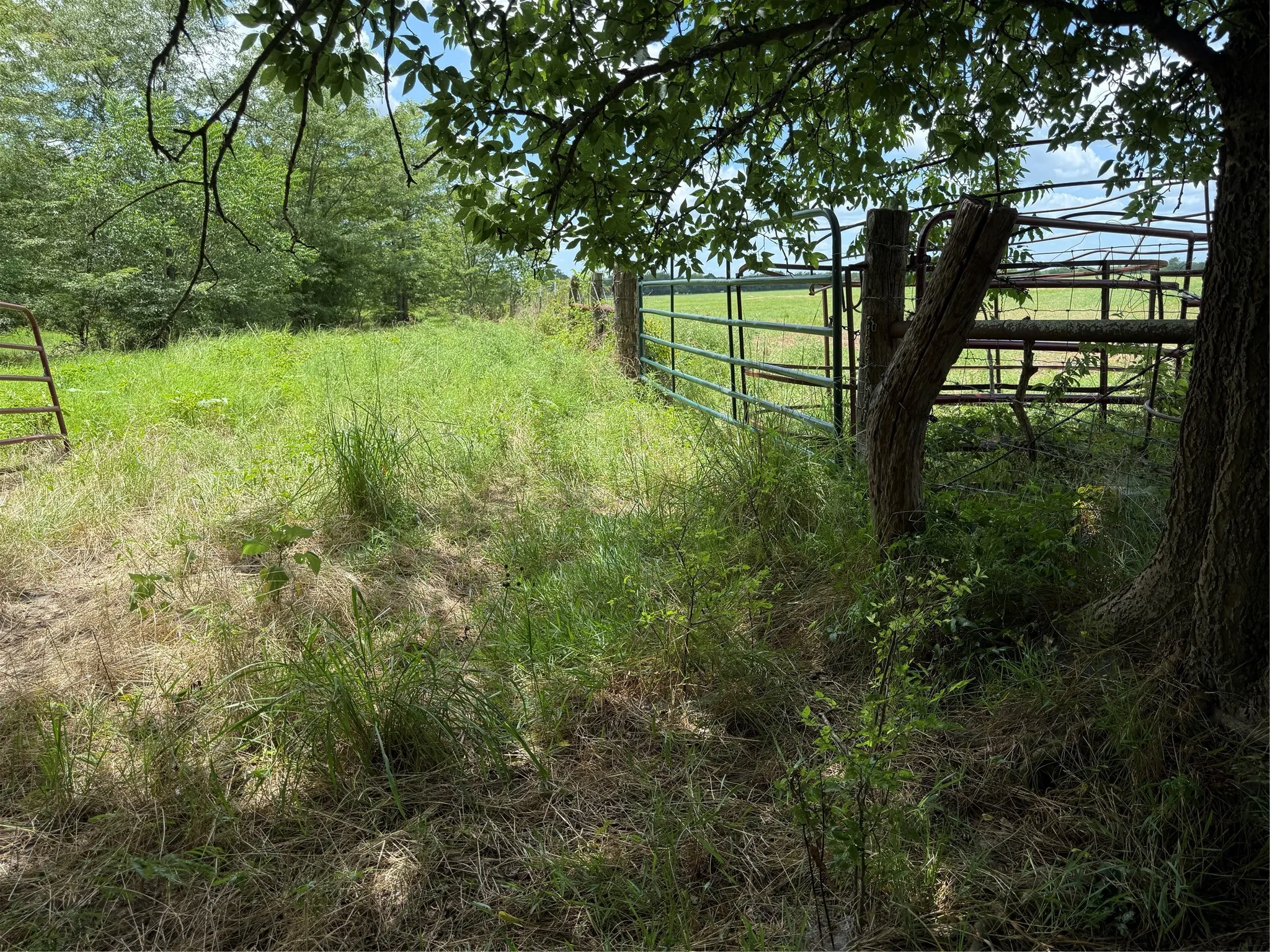 Retail For Sale in Hopkins County , 0 FM 2653 WS INSIDE Track 4, Sulphur Springs, Texas 75482, 0, 0, Garage spaces, 0 Sqft, built in 0, mls#21382489, Real Estate Agent in Sulphur Springs, Homes For Sale in Hopkins county, Homes For Sale in Sulphur Springs, Realtor in Sulphur Springs Texas, Real Estate Brokerage Independent Realty Texas, Luminita Cordes Realtor