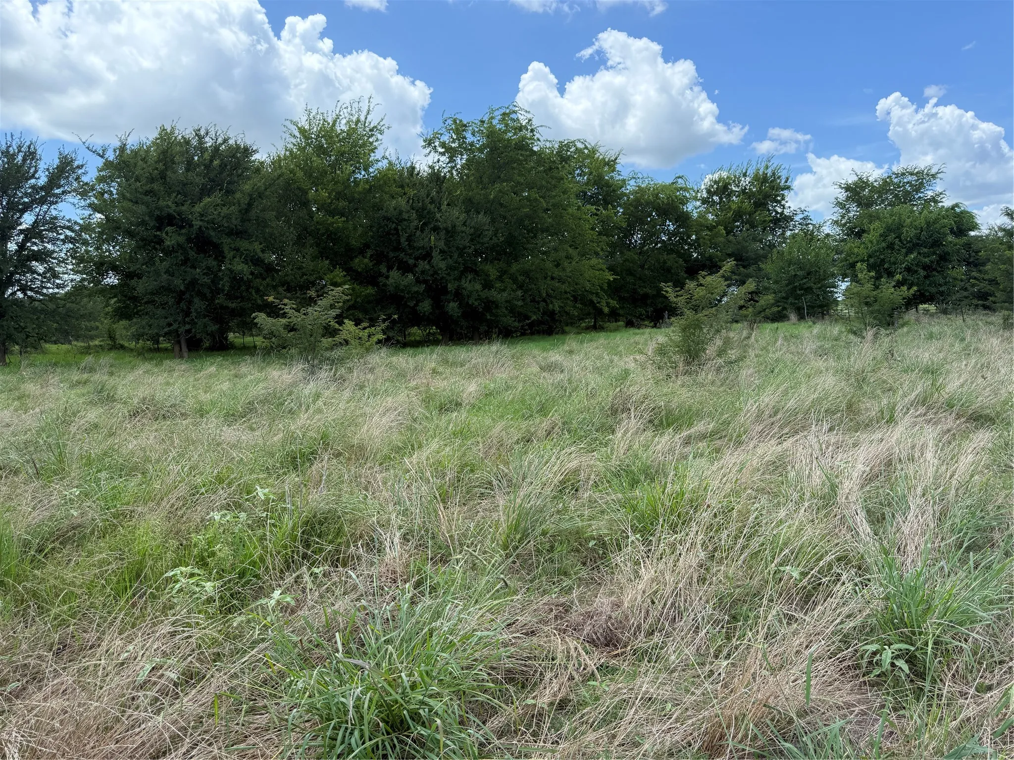 Retail For Sale in Hopkins County , 0 FM 2653 WS INSIDE Track 4, Sulphur Springs, Texas 75482, 0, 0, Garage spaces, 0 Sqft, built in 0, mls#21382489, Real Estate Agent in Sulphur Springs, Homes For Sale in Hopkins county, Homes For Sale in Sulphur Springs, Realtor in Sulphur Springs Texas, Real Estate Brokerage Independent Realty Texas, Luminita Cordes Realtor