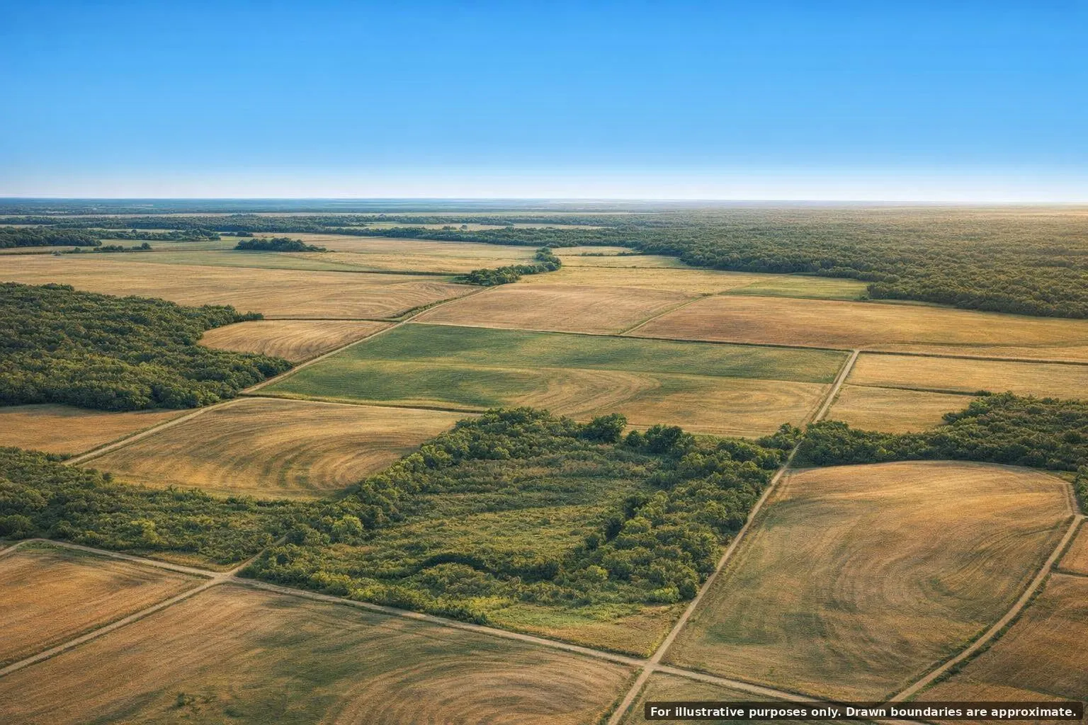 Unimproved Land For Sale in Mitchell County , TBD 0 Cr 422, Loraine, Texas 79532, 0, 0, Garage spaces, 0 Sqft, built in 0, mls#21382453, Real Estate Agent in Loraine, Homes For Sale in Mitchell county, Homes For Sale in Loraine, Realtor in Loraine Texas, Real Estate Brokerage Independent Realty Texas, Luminita Cordes Realtor