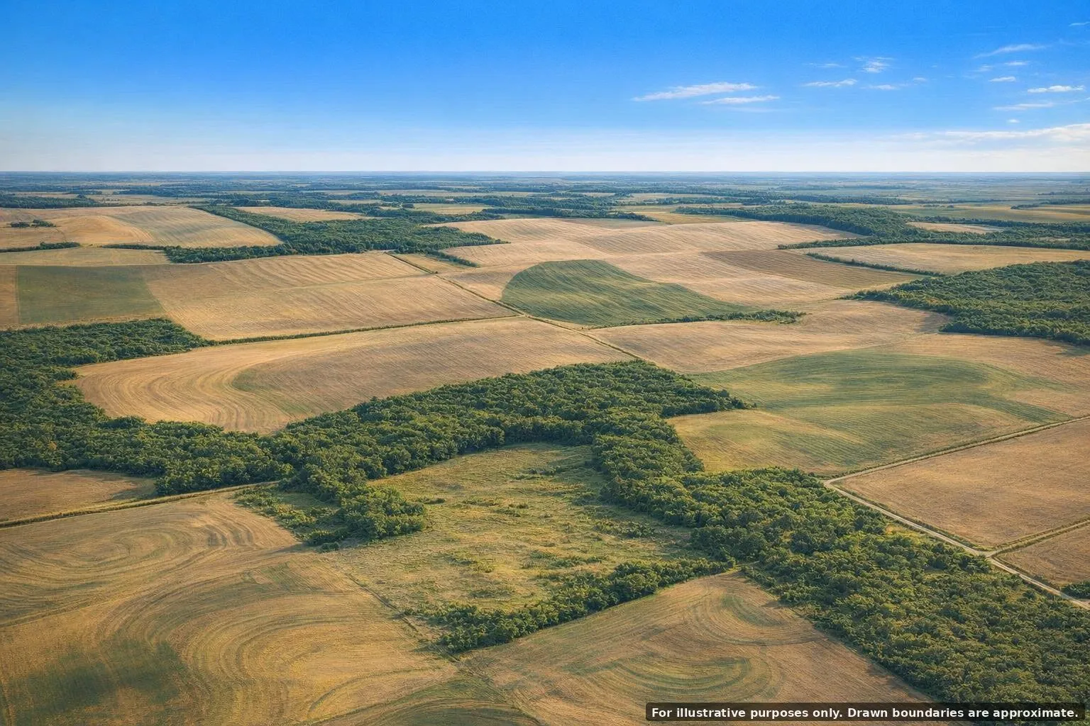Unimproved Land For Sale in Mitchell County , TBD 0 Cr 422, Loraine, Texas 79532, 0, 0, Garage spaces, 0 Sqft, built in 0, mls#21382453, Real Estate Agent in Loraine, Homes For Sale in Mitchell county, Homes For Sale in Loraine, Realtor in Loraine Texas, Real Estate Brokerage Independent Realty Texas, Luminita Cordes Realtor