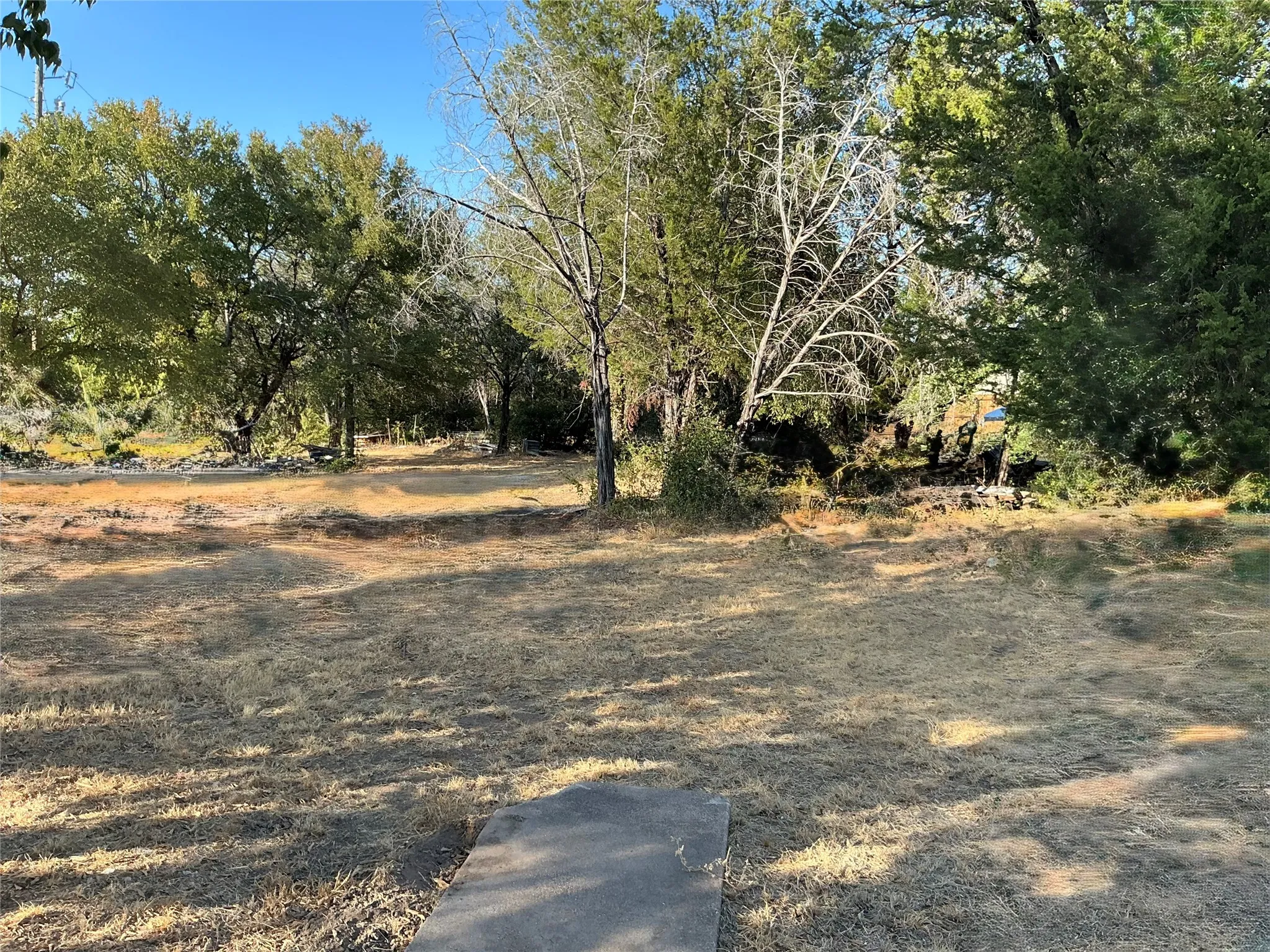 extra back yard
