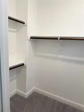 Built-in shelving, hanging rods, and carpeting
