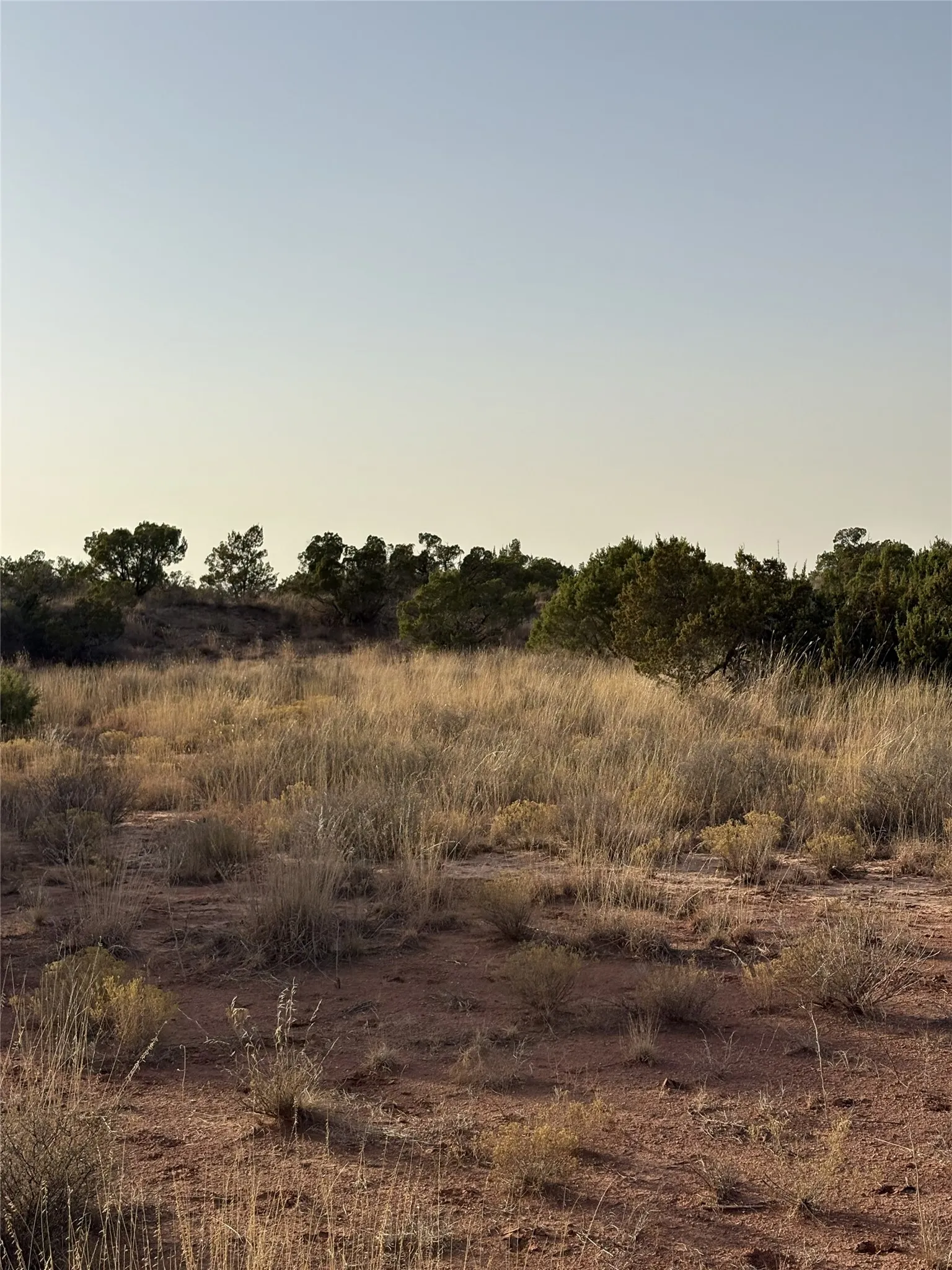 Unimproved Land For Sale in Knox County , 2777 County Road 3600, No City, Texas 79227, 0, 0, Garage spaces, 0 Sqft, built in 0, mls#21363093, Real Estate Agent in No City, Homes For Sale in Knox county, Homes For Sale in No City, Realtor in No City Texas, Real Estate Brokerage Independent Realty Texas, Luminita Cordes Realtor