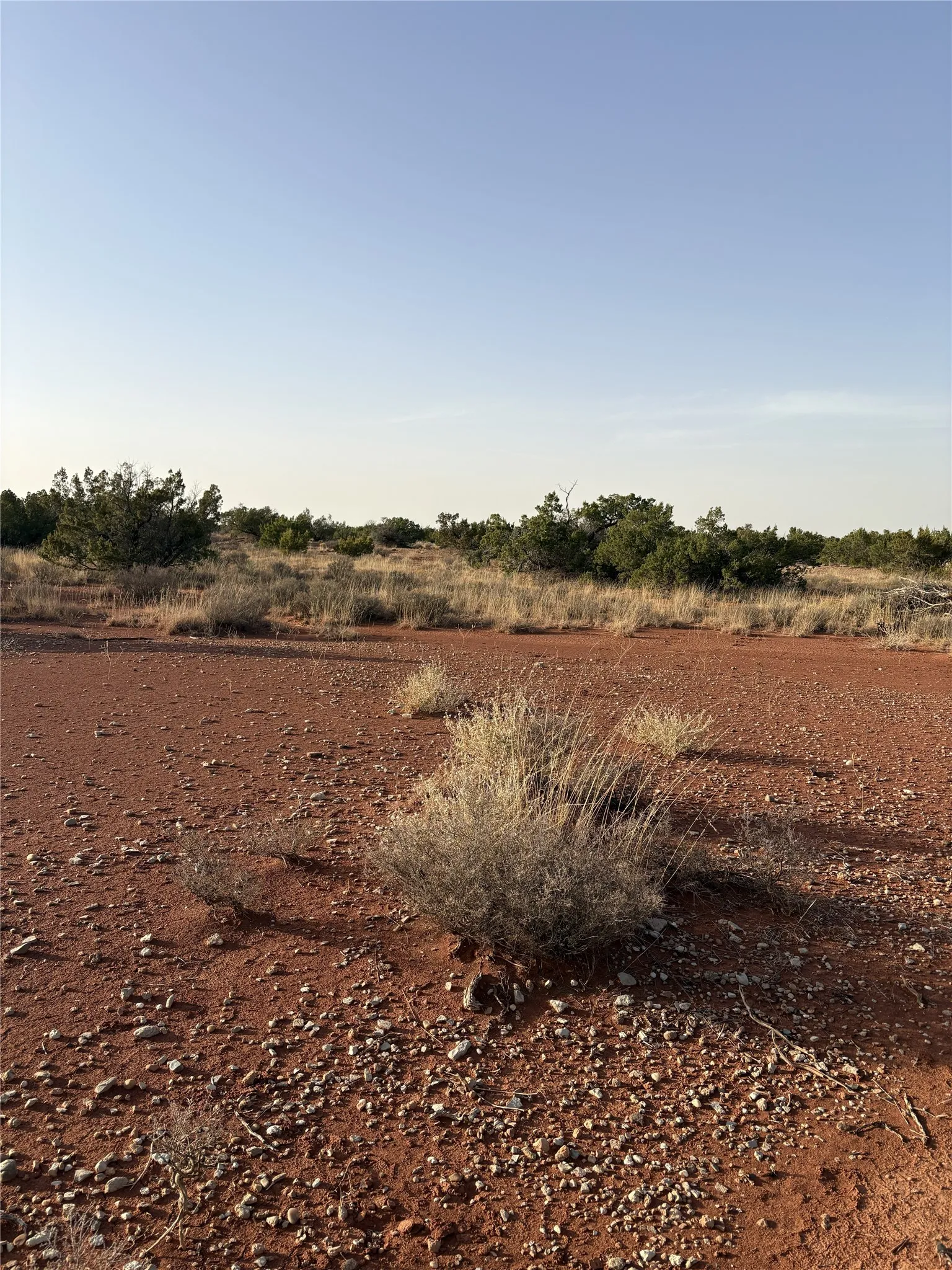 Unimproved Land For Sale in Knox County , 2777 County Road 3600, No City, Texas 79227, 0, 0, Garage spaces, 0 Sqft, built in 0, mls#21363093, Real Estate Agent in No City, Homes For Sale in Knox county, Homes For Sale in No City, Realtor in No City Texas, Real Estate Brokerage Independent Realty Texas, Luminita Cordes Realtor