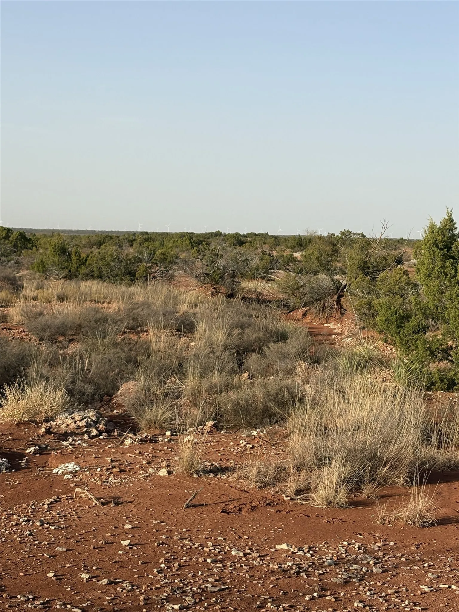 Unimproved Land For Sale