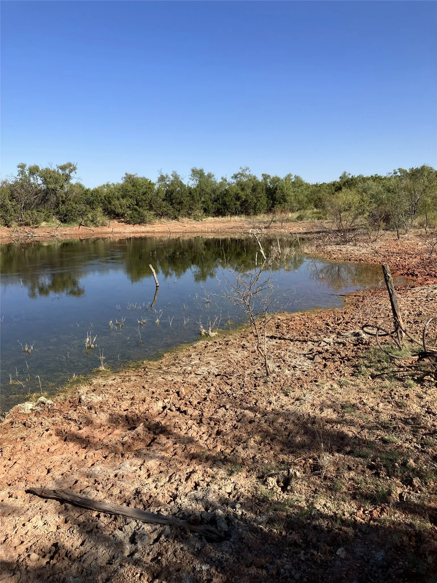 Unimproved Land For Sale in Knox County , 2757 County Road 3600, No City, Texas 79227, 0, 0, Garage spaces, 0 Sqft, built in 0, mls#21363084, Real Estate Agent in No City, Homes For Sale in Knox county, Homes For Sale in No City, Realtor in No City Texas, Real Estate Brokerage Independent Realty Texas, Luminita Cordes Realtor