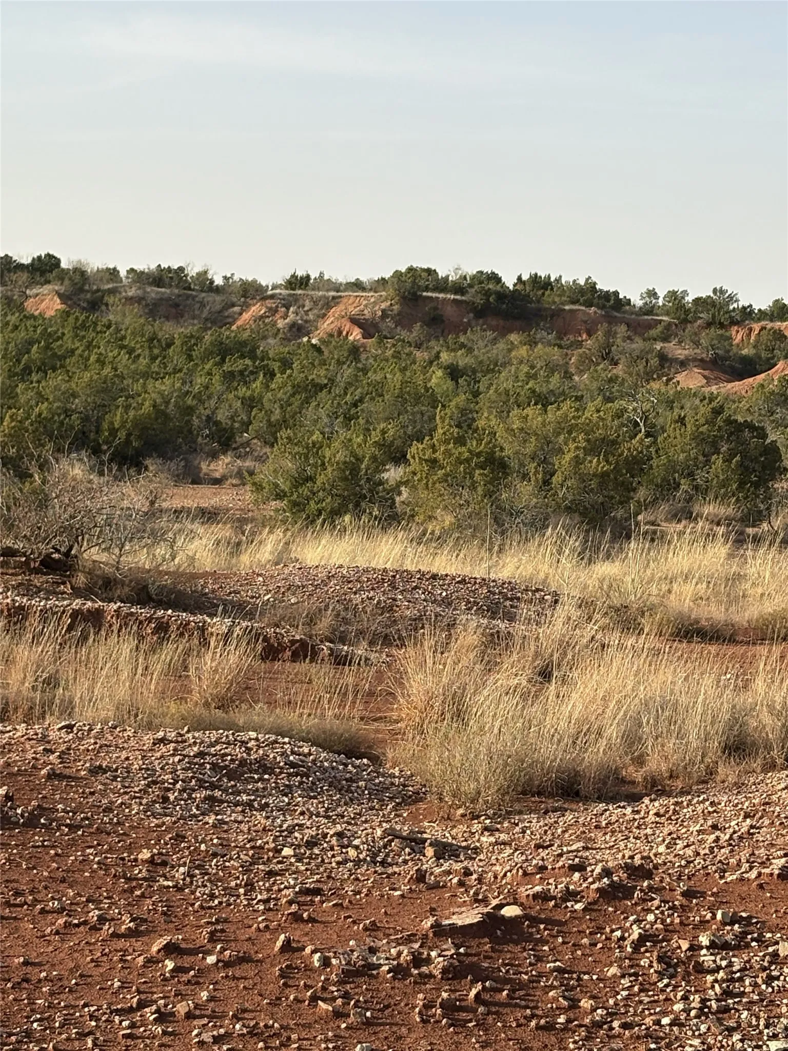 Unimproved Land For Sale in Knox County , 2757 County Road 3600, No City, Texas 79227, 0, 0, Garage spaces, 0 Sqft, built in 0, mls#21363084, Real Estate Agent in No City, Homes For Sale in Knox county, Homes For Sale in No City, Realtor in No City Texas, Real Estate Brokerage Independent Realty Texas, Luminita Cordes Realtor