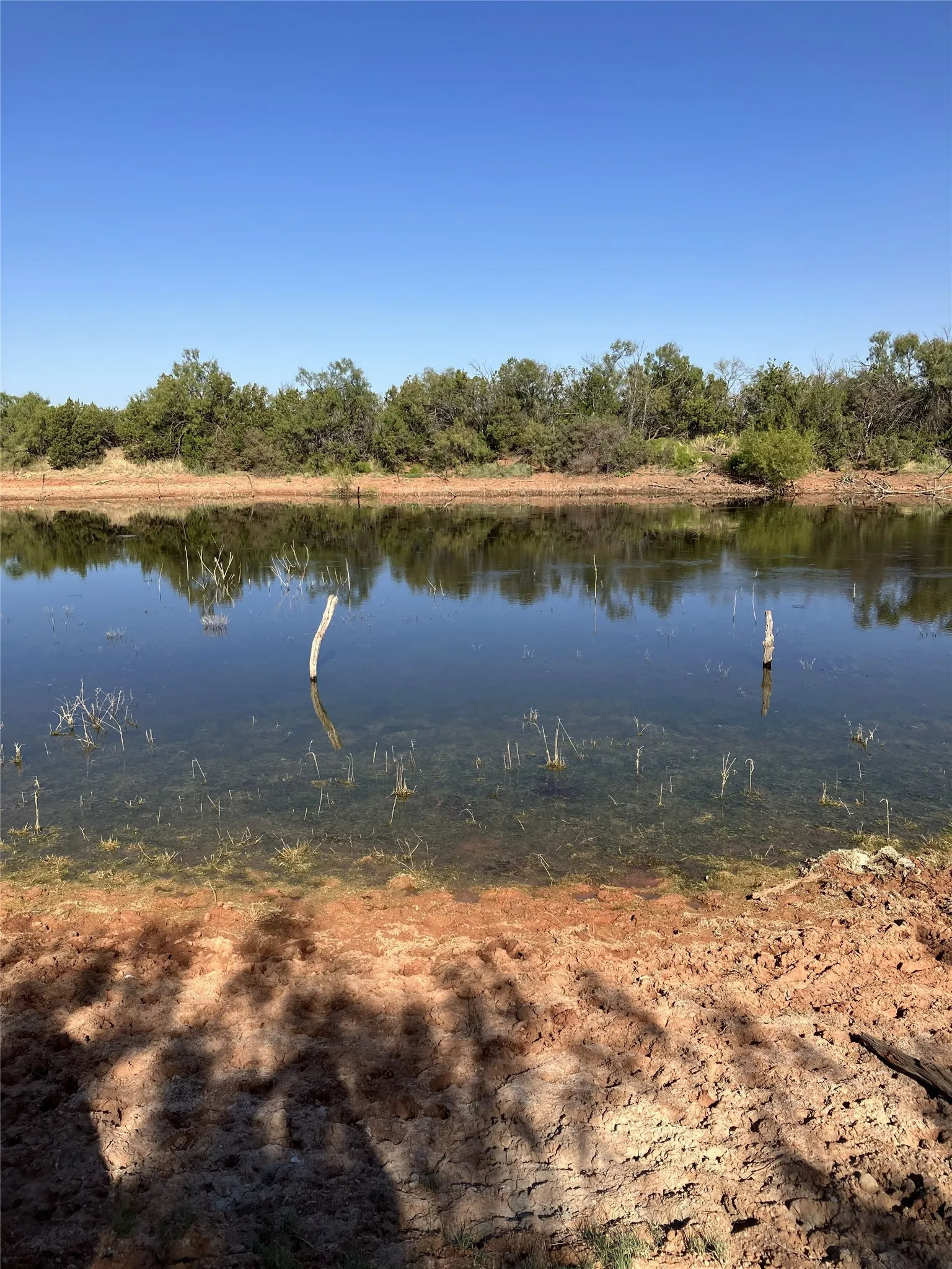 Unimproved Land For Sale in Knox County , 2757 County Road 3600, No City, Texas 79227, 0, 0, Garage spaces, 0 Sqft, built in 0, mls#21363084, Real Estate Agent in No City, Homes For Sale in Knox county, Homes For Sale in No City, Realtor in No City Texas, Real Estate Brokerage Independent Realty Texas, Luminita Cordes Realtor