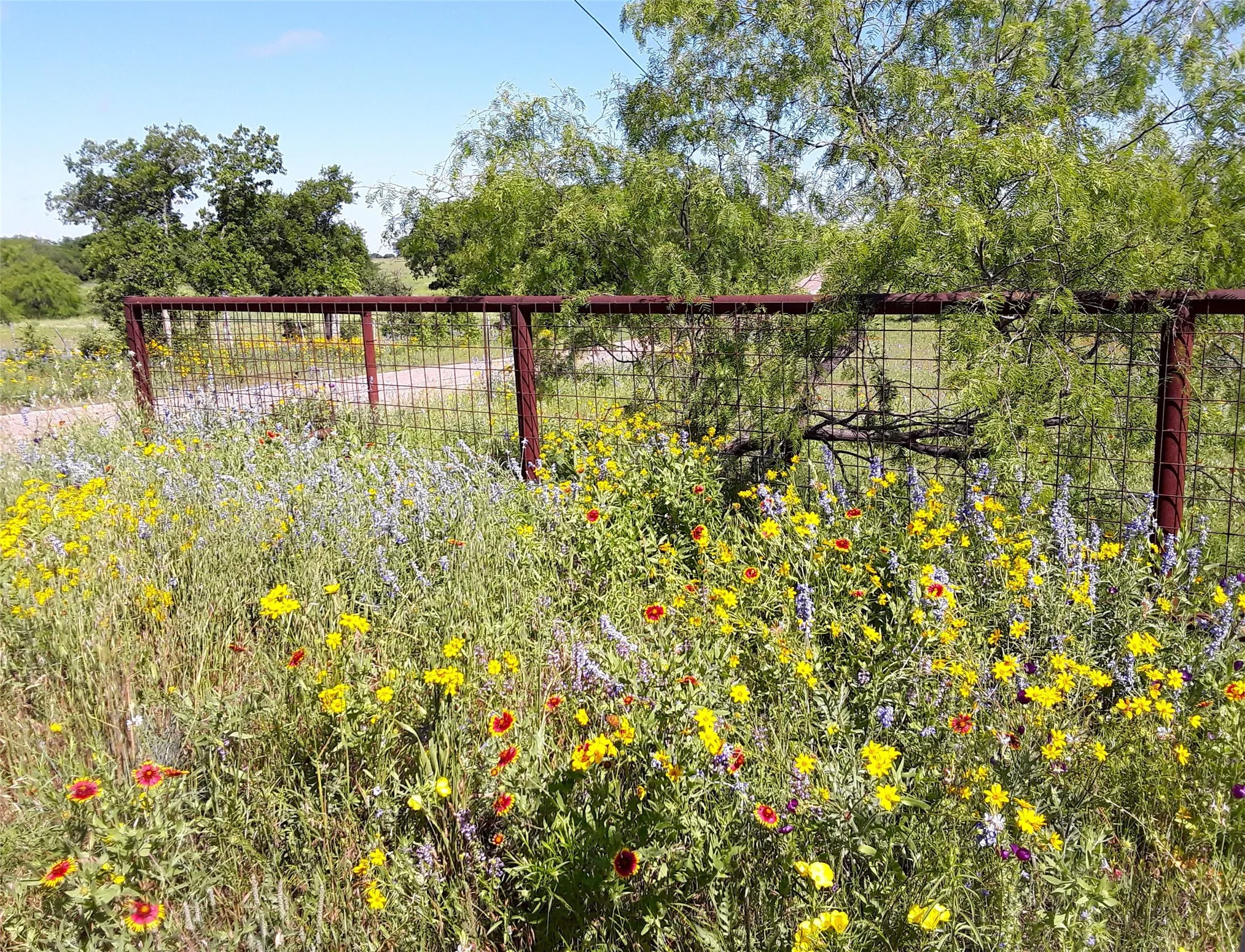 Improved Land For Sale in Mc Lennan County , 000 35 ac. Rattler Hill Road, Mc Gregor, Texas 76657, 0, 0, Garage spaces, 0 Sqft, built in 0, mls#21367999, Real Estate Agent in Mc Gregor, Homes For Sale in Mc Lennan county, Homes For Sale in Mc Gregor, Realtor in Mc Gregor Texas, Real Estate Brokerage Independent Realty Texas, Luminita Cordes Realtor