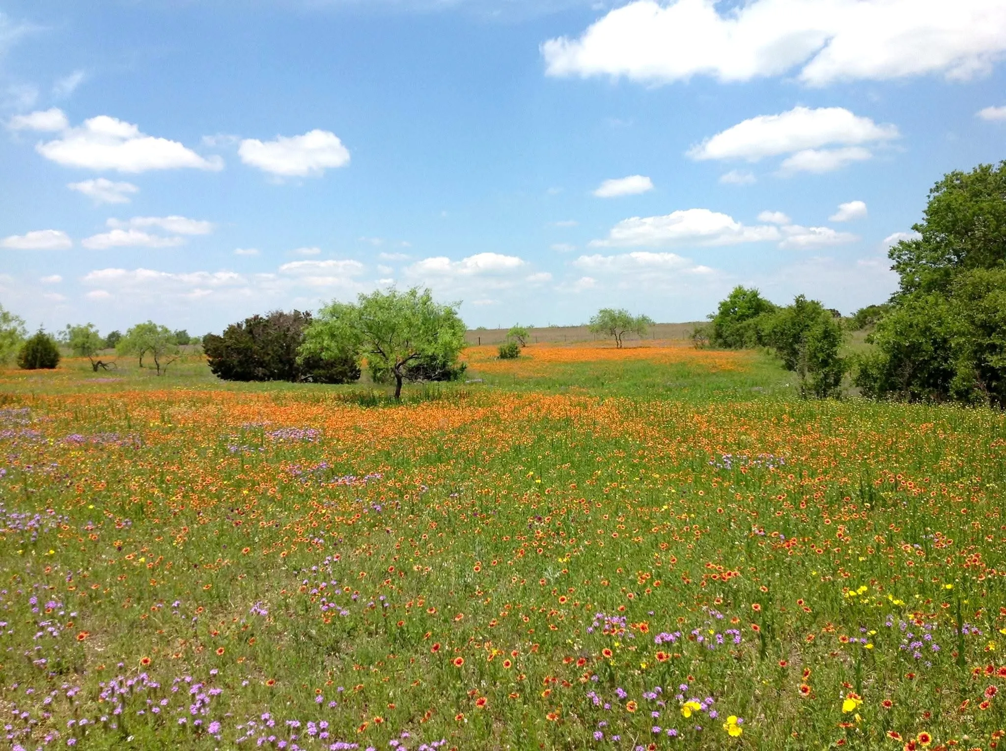 Improved Land For Sale in Mc Lennan County , 000 35 ac. Rattler Hill Road, Mc Gregor, Texas 76657, 0, 0, Garage spaces, 0 Sqft, built in 0, mls#21367999, Real Estate Agent in Mc Gregor, Homes For Sale in Mc Lennan county, Homes For Sale in Mc Gregor, Realtor in Mc Gregor Texas, Real Estate Brokerage Independent Realty Texas, Luminita Cordes Realtor