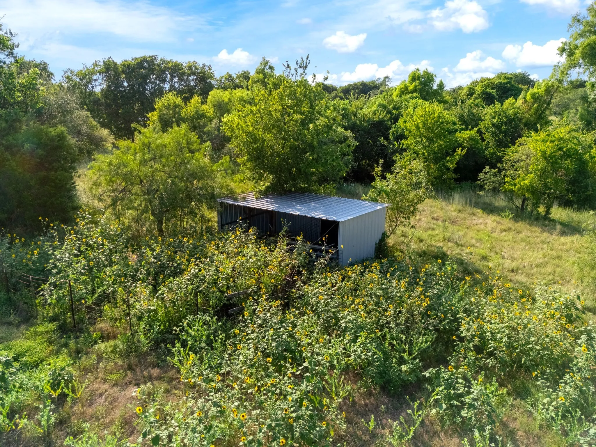 Improved Land For Sale in Mc Lennan County , 000 35 ac. Rattler Hill Road, Mc Gregor, Texas 76657, 0, 0, Garage spaces, 0 Sqft, built in 0, mls#21367999, Real Estate Agent in Mc Gregor, Homes For Sale in Mc Lennan county, Homes For Sale in Mc Gregor, Realtor in Mc Gregor Texas, Real Estate Brokerage Independent Realty Texas, Luminita Cordes Realtor