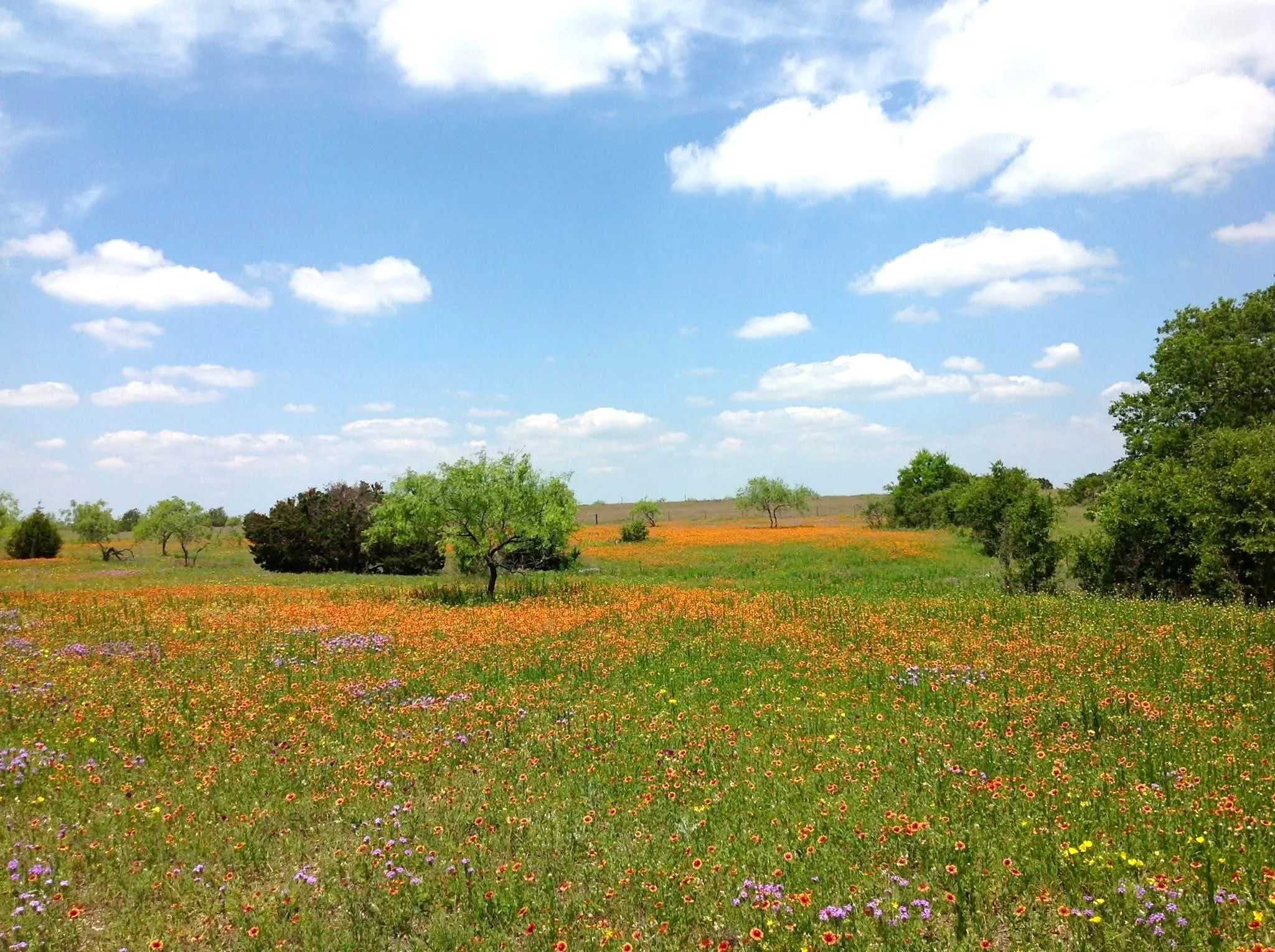 Improved Land For Sale in Mc Lennan County , 000 35 ac. Rattler Hill Road, Mc Gregor, Texas 76657, 0, 0, Garage spaces, 0 Sqft, built in 0, mls#21367999, Real Estate Agent in Mc Gregor, Homes For Sale in Mc Lennan county, Homes For Sale in Mc Gregor, Realtor in Mc Gregor Texas, Real Estate Brokerage Independent Realty Texas, Luminita Cordes Realtor