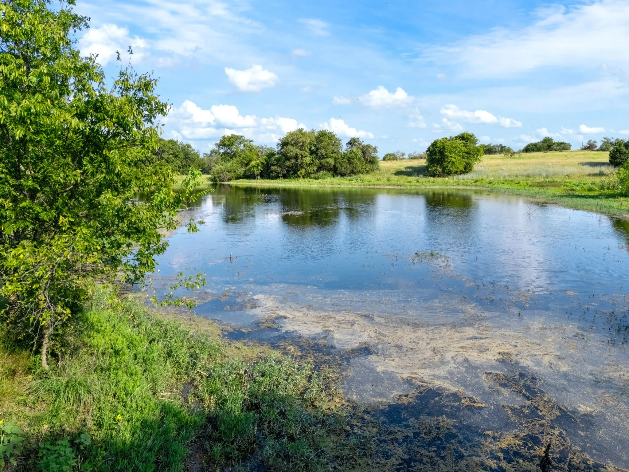 Improved Land For Sale in Mc Lennan County , 000 35 ac. Rattler Hill Road, Mc Gregor, Texas 76657, 0, 0, Garage spaces, 0 Sqft, built in 0, mls#21367999, Real Estate Agent in Mc Gregor, Homes For Sale in Mc Lennan county, Homes For Sale in Mc Gregor, Realtor in Mc Gregor Texas, Real Estate Brokerage Independent Realty Texas, Luminita Cordes Realtor