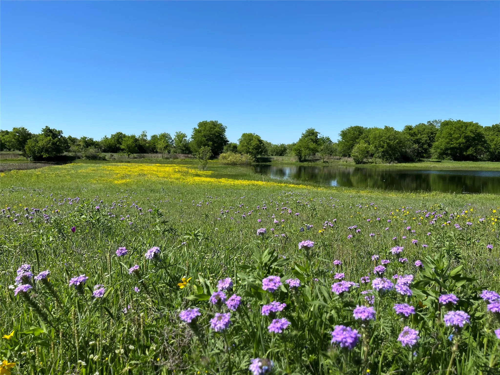 Improved Land For Sale in Mc Lennan County , 000 35 ac. Rattler Hill Road, Mc Gregor, Texas 76657, 0, 0, Garage spaces, 0 Sqft, built in 0, mls#21367999, Real Estate Agent in Mc Gregor, Homes For Sale in Mc Lennan county, Homes For Sale in Mc Gregor, Realtor in Mc Gregor Texas, Real Estate Brokerage Independent Realty Texas, Luminita Cordes Realtor