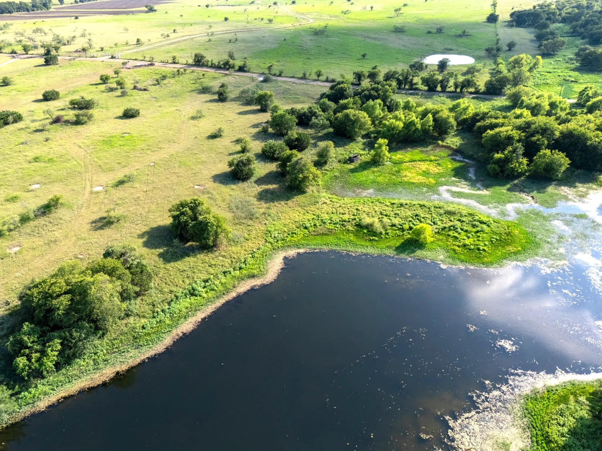 Improved Land For Sale in Mc Lennan County , 000 35 ac. Rattler Hill Road, Mc Gregor, Texas 76657, 0, 0, Garage spaces, 0 Sqft, built in 0, mls#21367999, Real Estate Agent in Mc Gregor, Homes For Sale in Mc Lennan county, Homes For Sale in Mc Gregor, Realtor in Mc Gregor Texas, Real Estate Brokerage Independent Realty Texas, Luminita Cordes Realtor