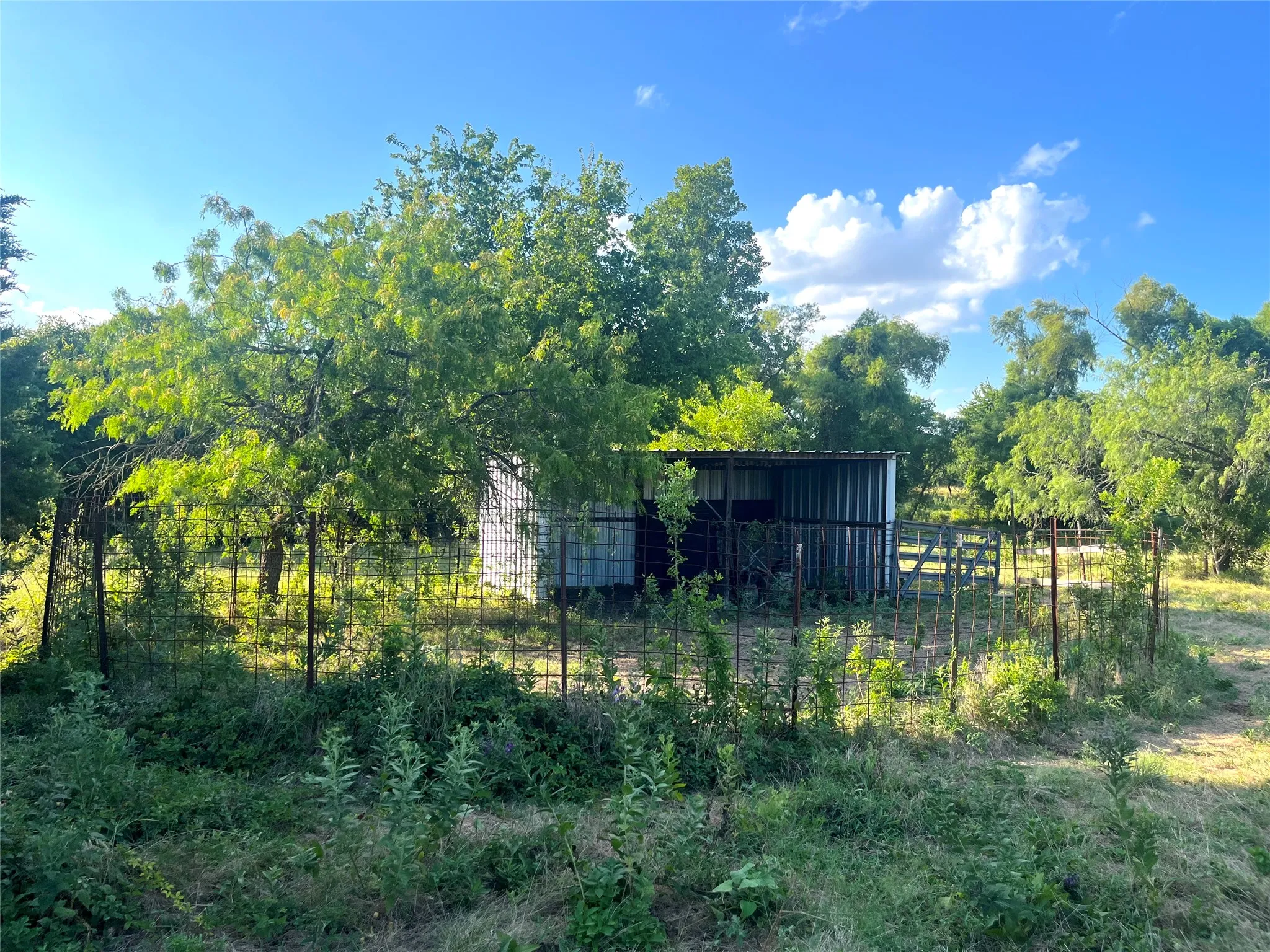 Improved Land For Sale in Mc Lennan County , 000 35 ac. Rattler Hill Road, Mc Gregor, Texas 76657, 0, 0, Garage spaces, 0 Sqft, built in 0, mls#21367999, Real Estate Agent in Mc Gregor, Homes For Sale in Mc Lennan county, Homes For Sale in Mc Gregor, Realtor in Mc Gregor Texas, Real Estate Brokerage Independent Realty Texas, Luminita Cordes Realtor