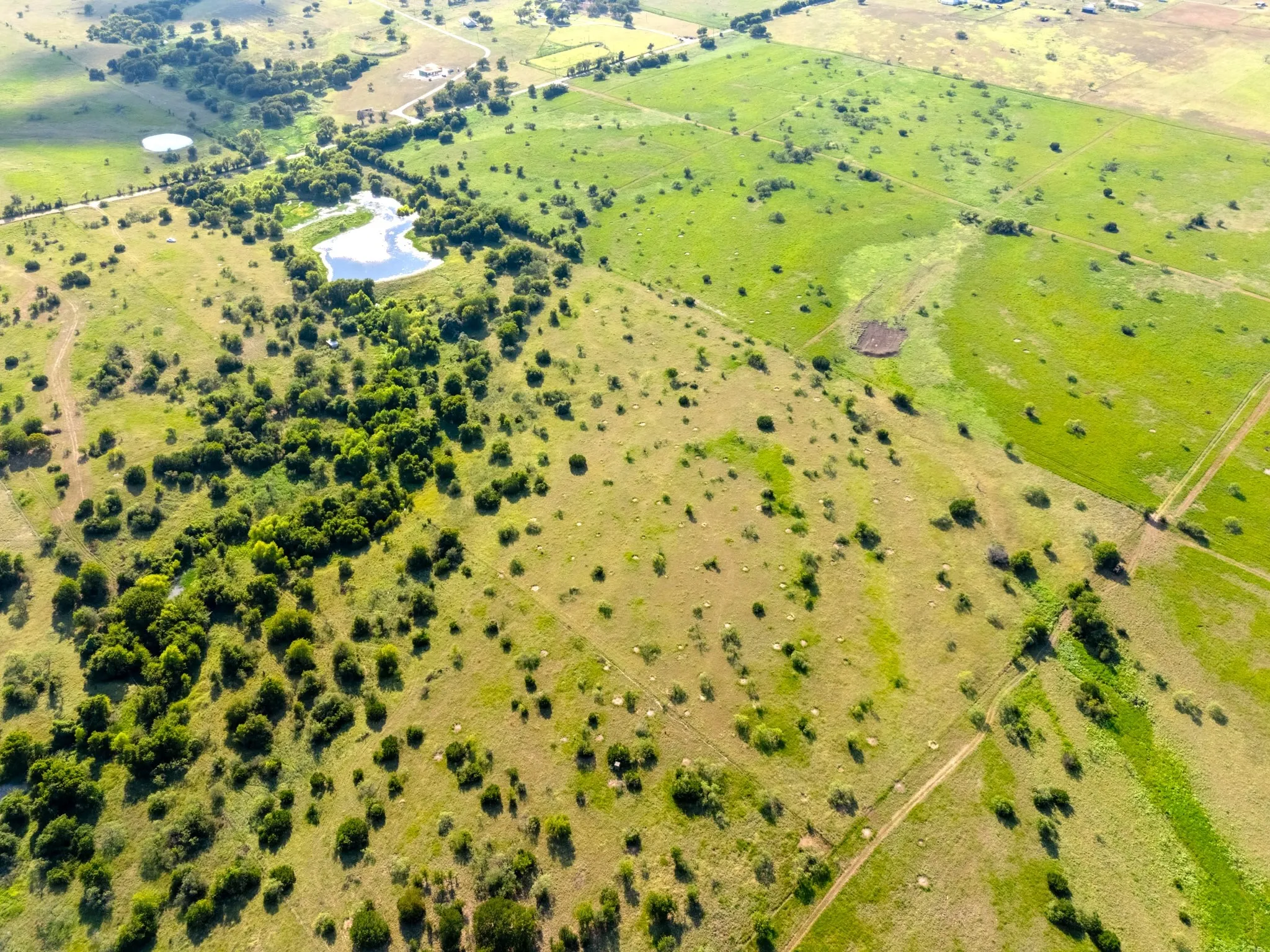 Improved Land For Sale in Mc Lennan County , 000 35 ac. Rattler Hill Road, Mc Gregor, Texas 76657, 0, 0, Garage spaces, 0 Sqft, built in 0, mls#21367999, Real Estate Agent in Mc Gregor, Homes For Sale in Mc Lennan county, Homes For Sale in Mc Gregor, Realtor in Mc Gregor Texas, Real Estate Brokerage Independent Realty Texas, Luminita Cordes Realtor