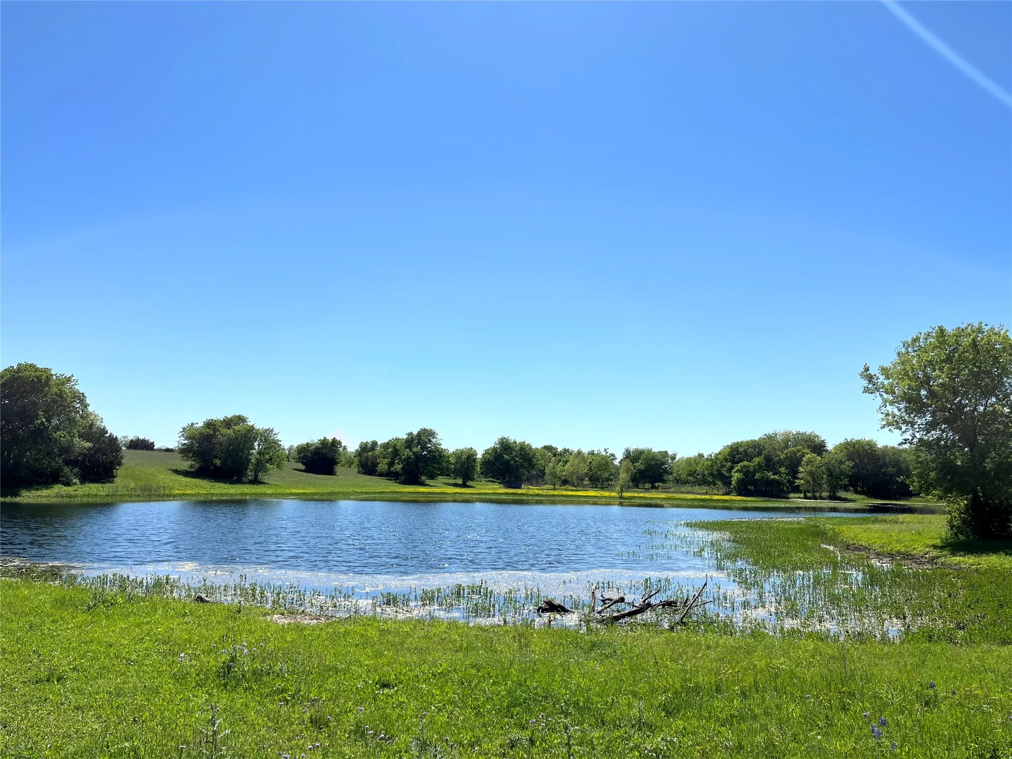 Improved Land For Sale in Mc Lennan County , 000 35 ac. Rattler Hill Road, Mc Gregor, Texas 76657, 0, 0, Garage spaces, 0 Sqft, built in 0, mls#21367999, Real Estate Agent in Mc Gregor, Homes For Sale in Mc Lennan county, Homes For Sale in Mc Gregor, Realtor in Mc Gregor Texas, Real Estate Brokerage Independent Realty Texas, Luminita Cordes Realtor