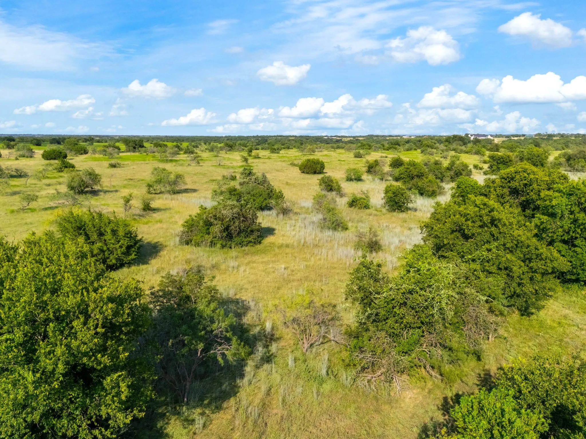 Improved Land For Sale in Mc Lennan County , 000 35 ac. Rattler Hill Road, Mc Gregor, Texas 76657, 0, 0, Garage spaces, 0 Sqft, built in 0, mls#21367999, Real Estate Agent in Mc Gregor, Homes For Sale in Mc Lennan county, Homes For Sale in Mc Gregor, Realtor in Mc Gregor Texas, Real Estate Brokerage Independent Realty Texas, Luminita Cordes Realtor