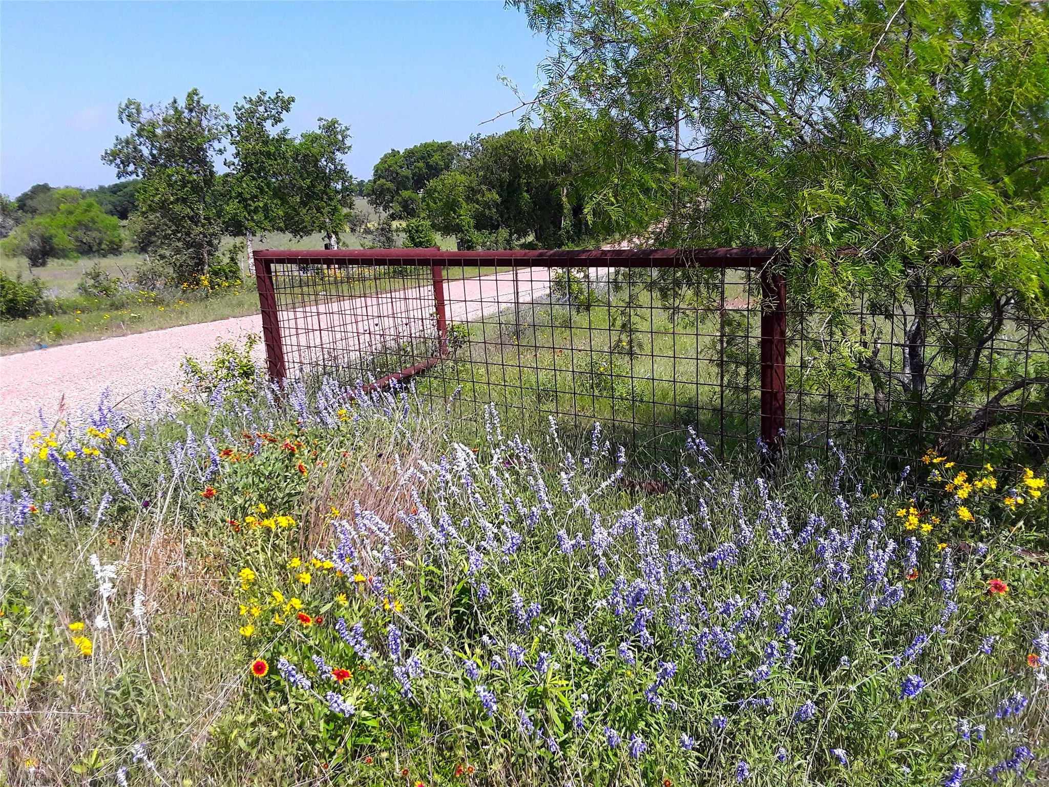Improved Land For Sale in Mc Lennan County , 000 35 ac. Rattler Hill Road, Mc Gregor, Texas 76657, 0, 0, Garage spaces, 0 Sqft, built in 0, mls#21367999, Real Estate Agent in Mc Gregor, Homes For Sale in Mc Lennan county, Homes For Sale in Mc Gregor, Realtor in Mc Gregor Texas, Real Estate Brokerage Independent Realty Texas, Luminita Cordes Realtor
