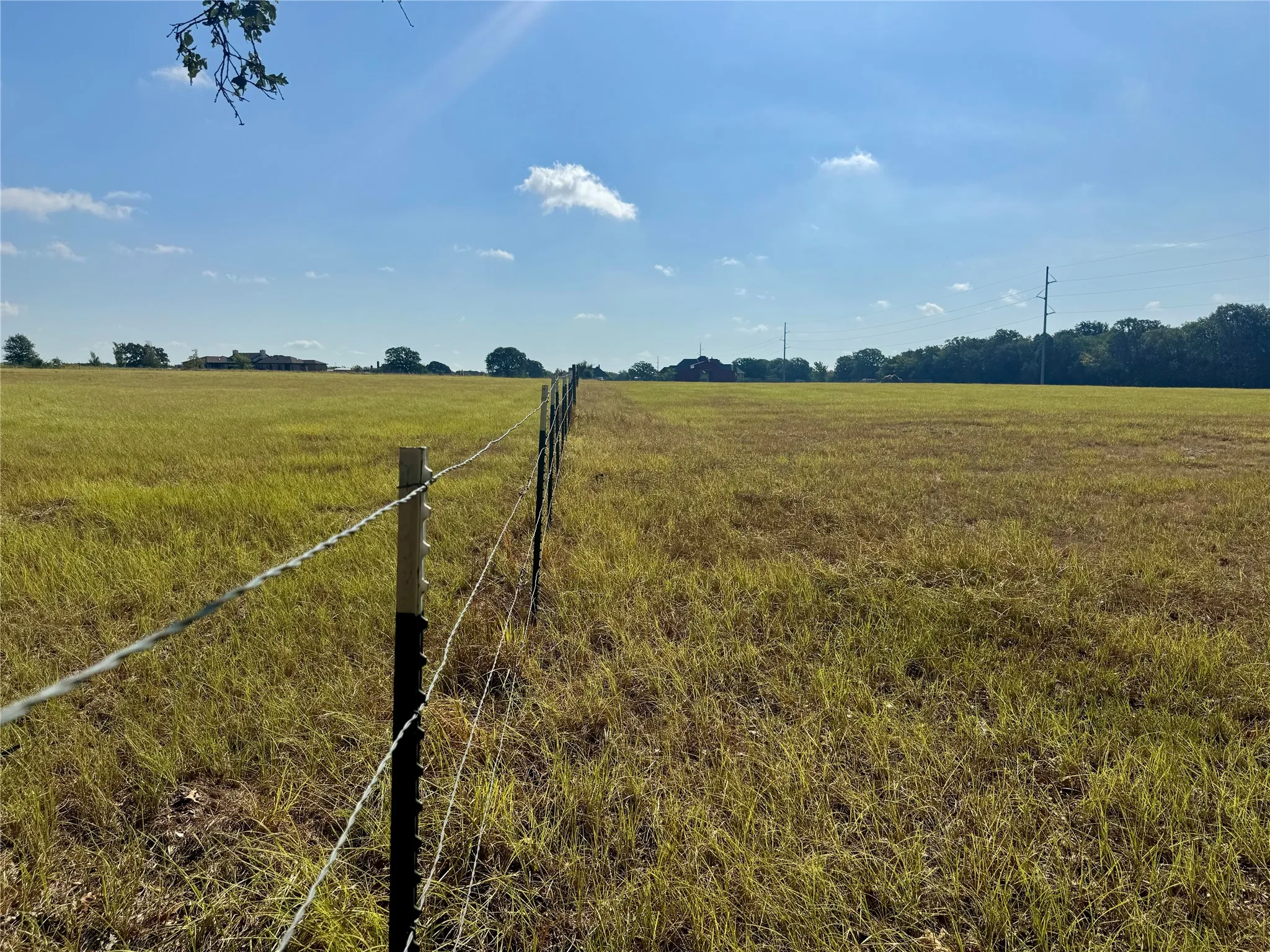 Expansive open land with a wire fence and distant tree line