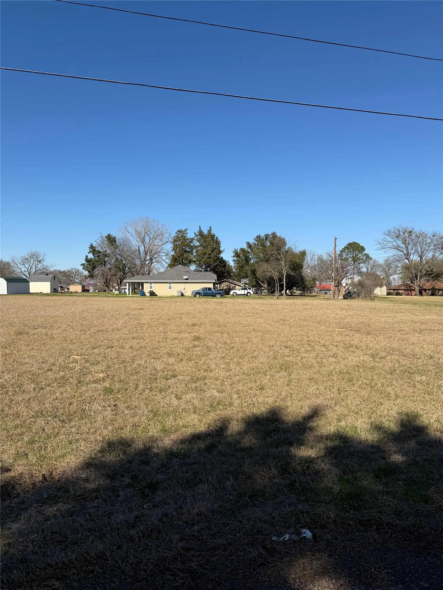 View of green lawn