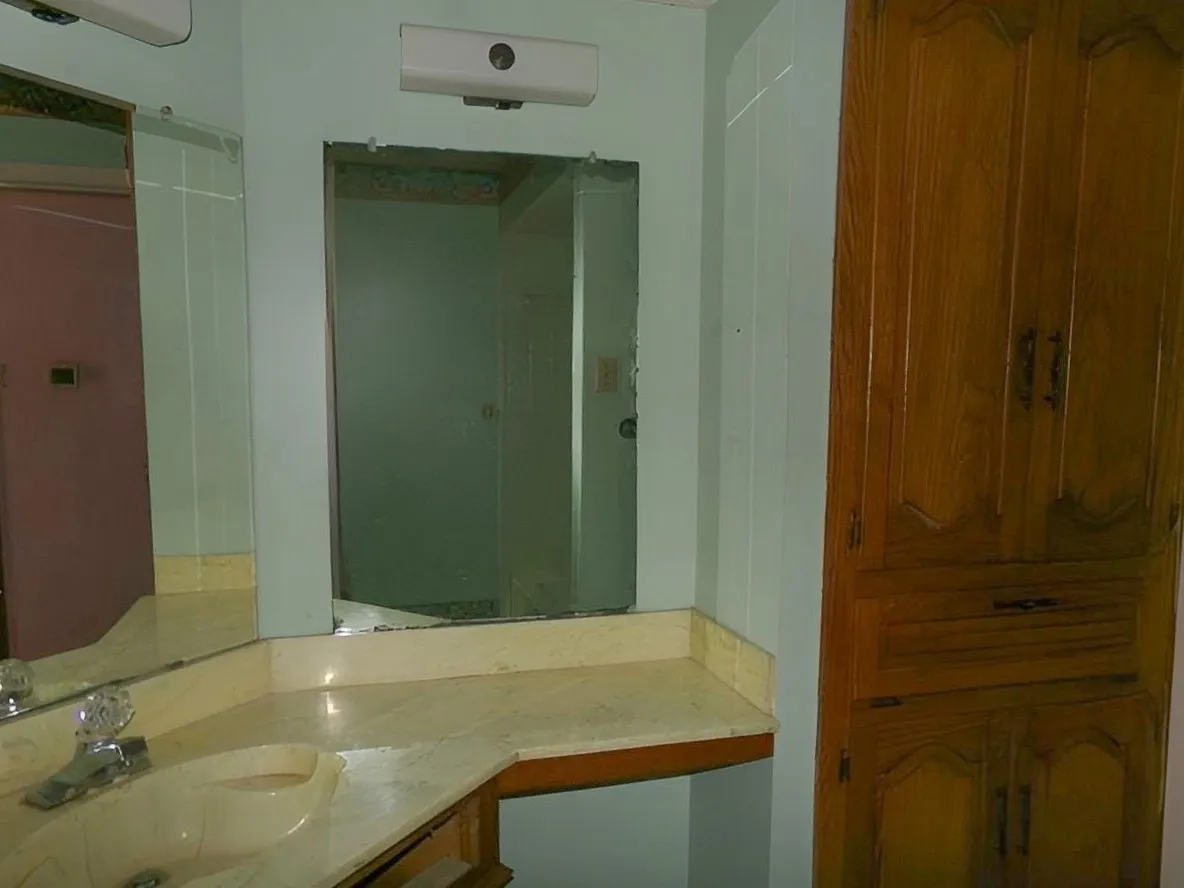 Built-in wood-finish cabinetry, integrated countertop sink, and an overhead vanity light