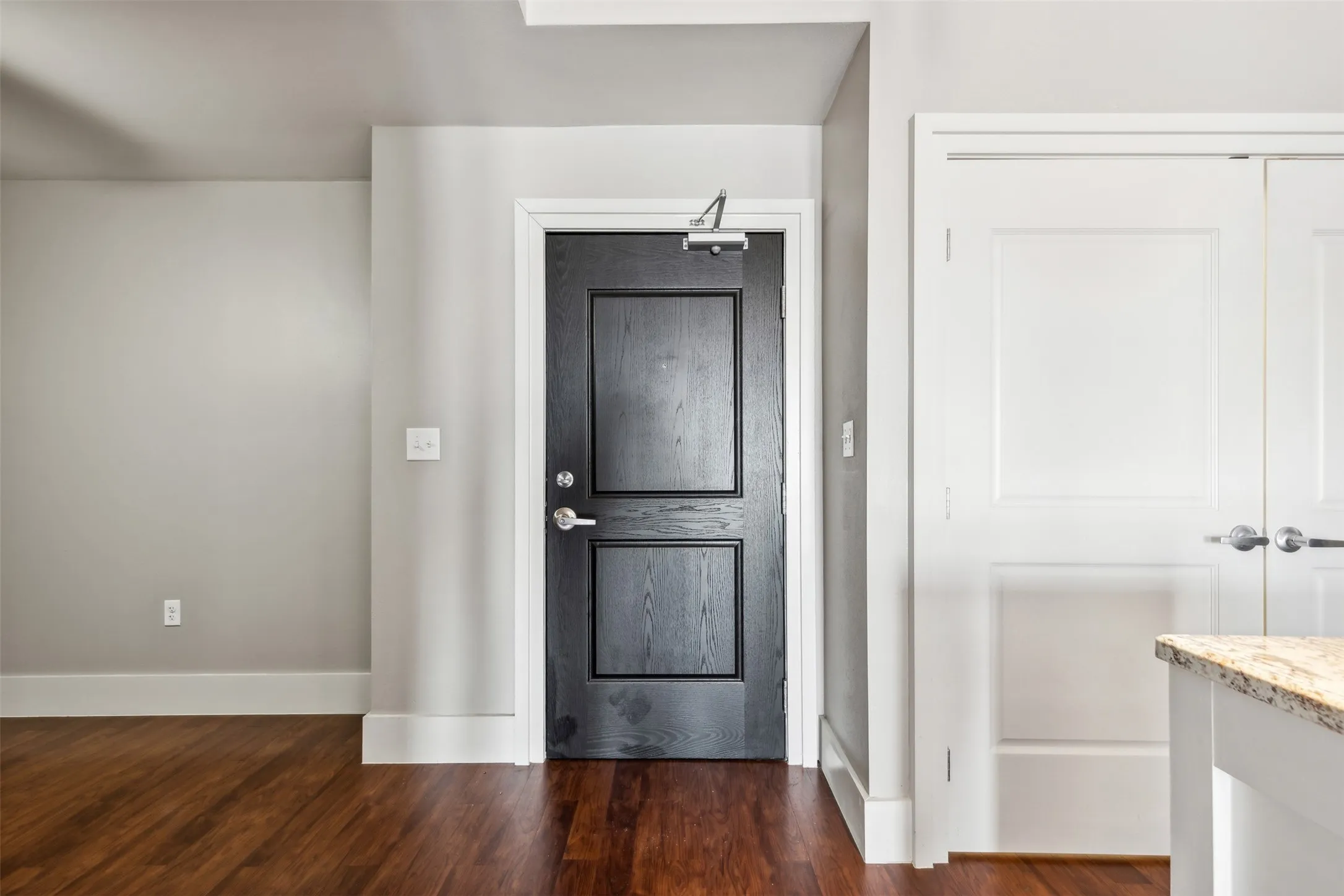 Entrance foyer featuring dark wood-type flooring