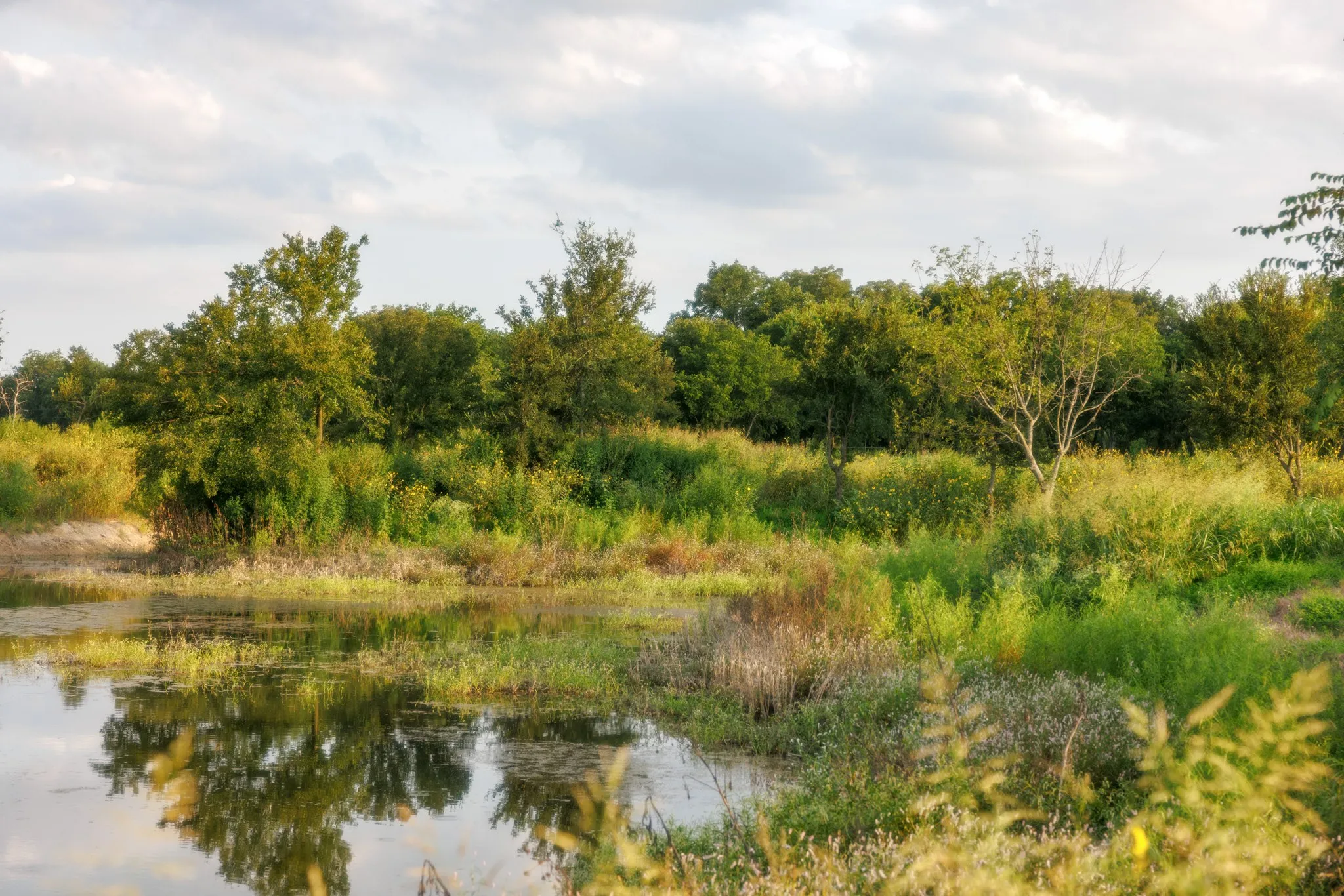 Unimproved Land For Sale in Bosque County , 24+/- ac. TBD Hwy 6, Valley Mills, Texas 76689, 0, 0, Garage spaces, 0 Sqft, built in 0, mls#21382565, Real Estate Agent in Valley Mills, Homes For Sale in Bosque county, Homes For Sale in Valley Mills, Realtor in Valley Mills Texas, Real Estate Brokerage Independent Realty Texas, Luminita Cordes Realtor