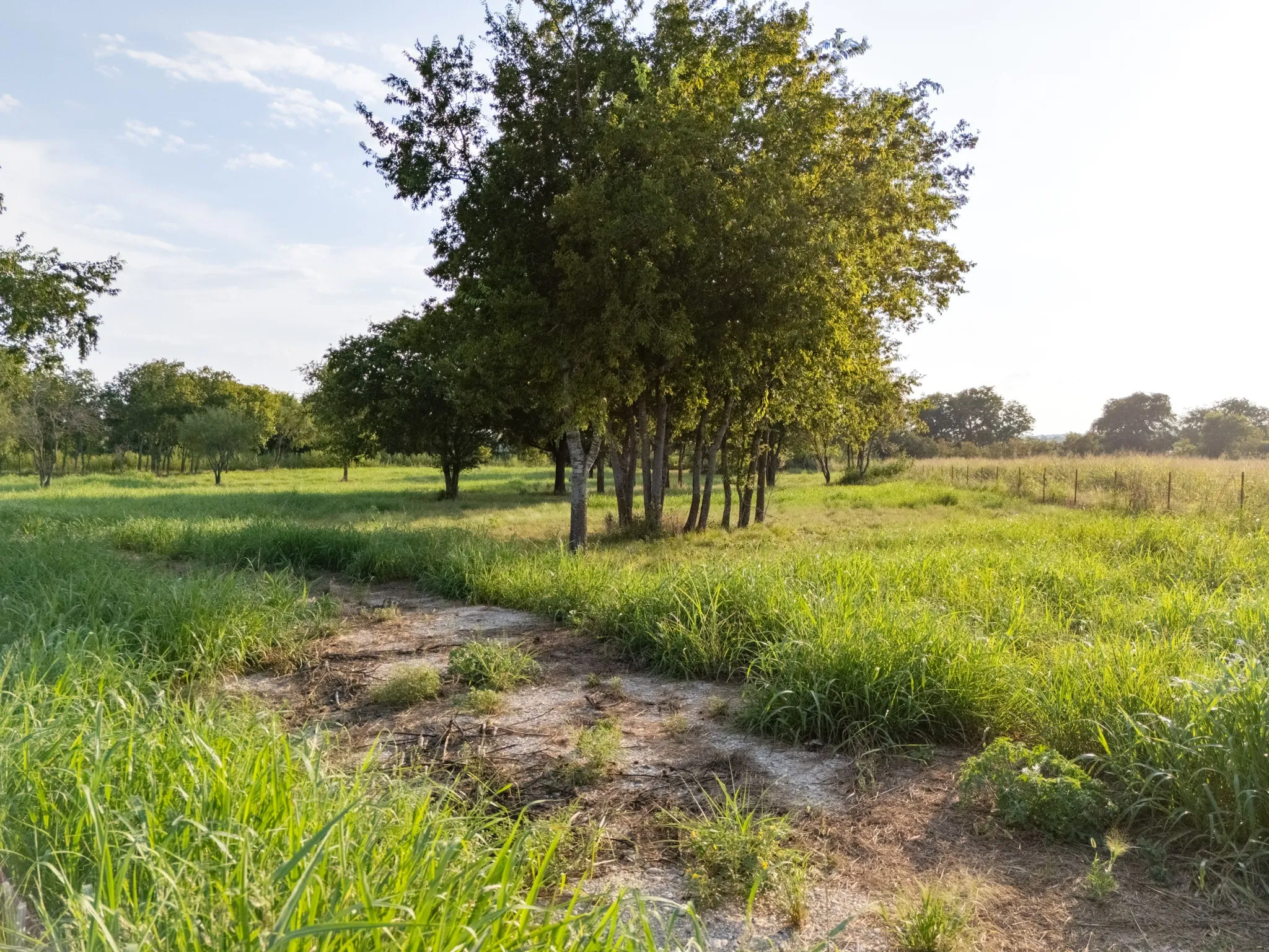 Unimproved Land For Sale in Bosque County , 24+/- ac. TBD Hwy 6, Valley Mills, Texas 76689, 0, 0, Garage spaces, 0 Sqft, built in 0, mls#21382565, Real Estate Agent in Valley Mills, Homes For Sale in Bosque county, Homes For Sale in Valley Mills, Realtor in Valley Mills Texas, Real Estate Brokerage Independent Realty Texas, Luminita Cordes Realtor