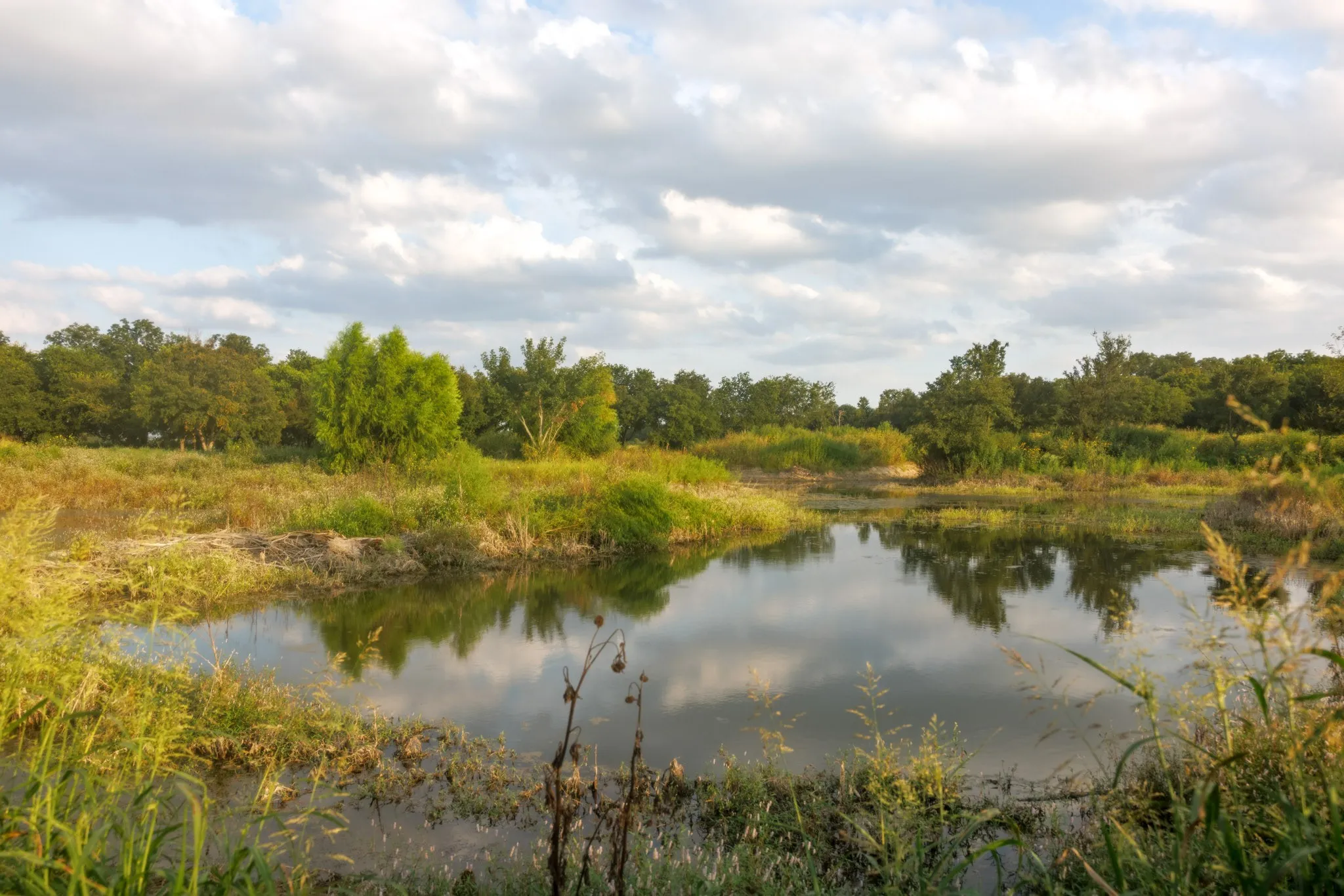 Unimproved Land For Sale in Bosque County , 24+/- ac. TBD Hwy 6, Valley Mills, Texas 76689, 0, 0, Garage spaces, 0 Sqft, built in 0, mls#21382565, Real Estate Agent in Valley Mills, Homes For Sale in Bosque county, Homes For Sale in Valley Mills, Realtor in Valley Mills Texas, Real Estate Brokerage Independent Realty Texas, Luminita Cordes Realtor
