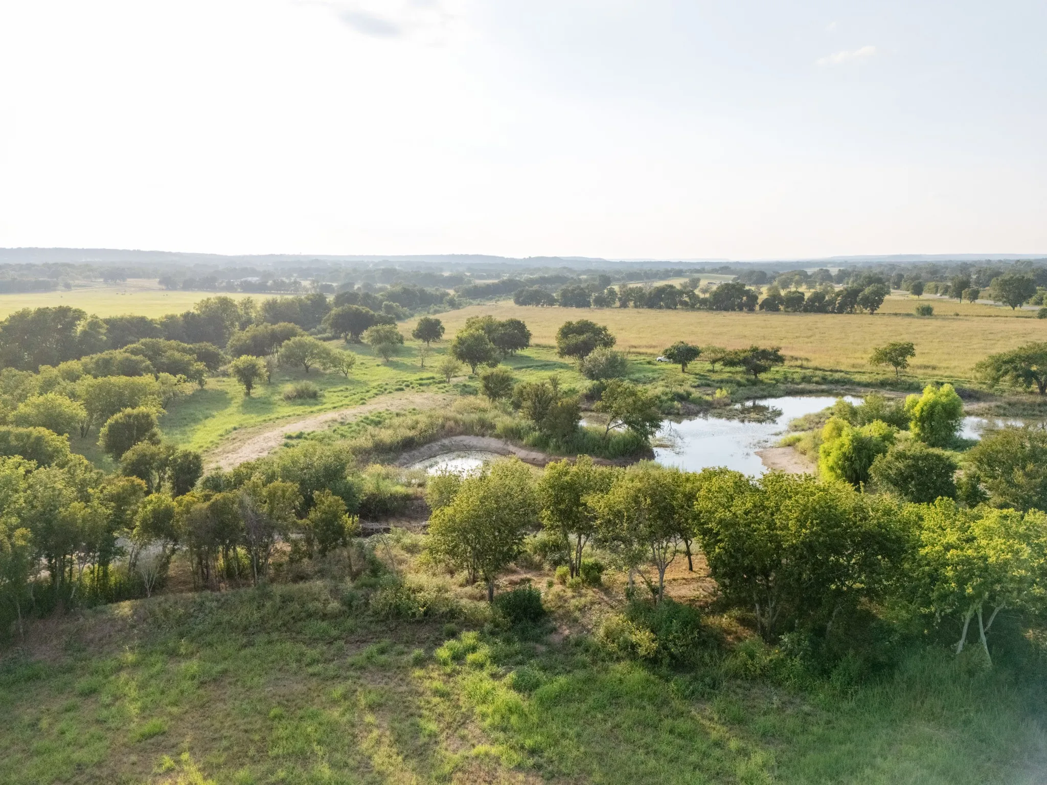 Unimproved Land For Sale in Bosque County , 24+/- ac. TBD Hwy 6, Valley Mills, Texas 76689, 0, 0, Garage spaces, 0 Sqft, built in 0, mls#21382565, Real Estate Agent in Valley Mills, Homes For Sale in Bosque county, Homes For Sale in Valley Mills, Realtor in Valley Mills Texas, Real Estate Brokerage Independent Realty Texas, Luminita Cordes Realtor