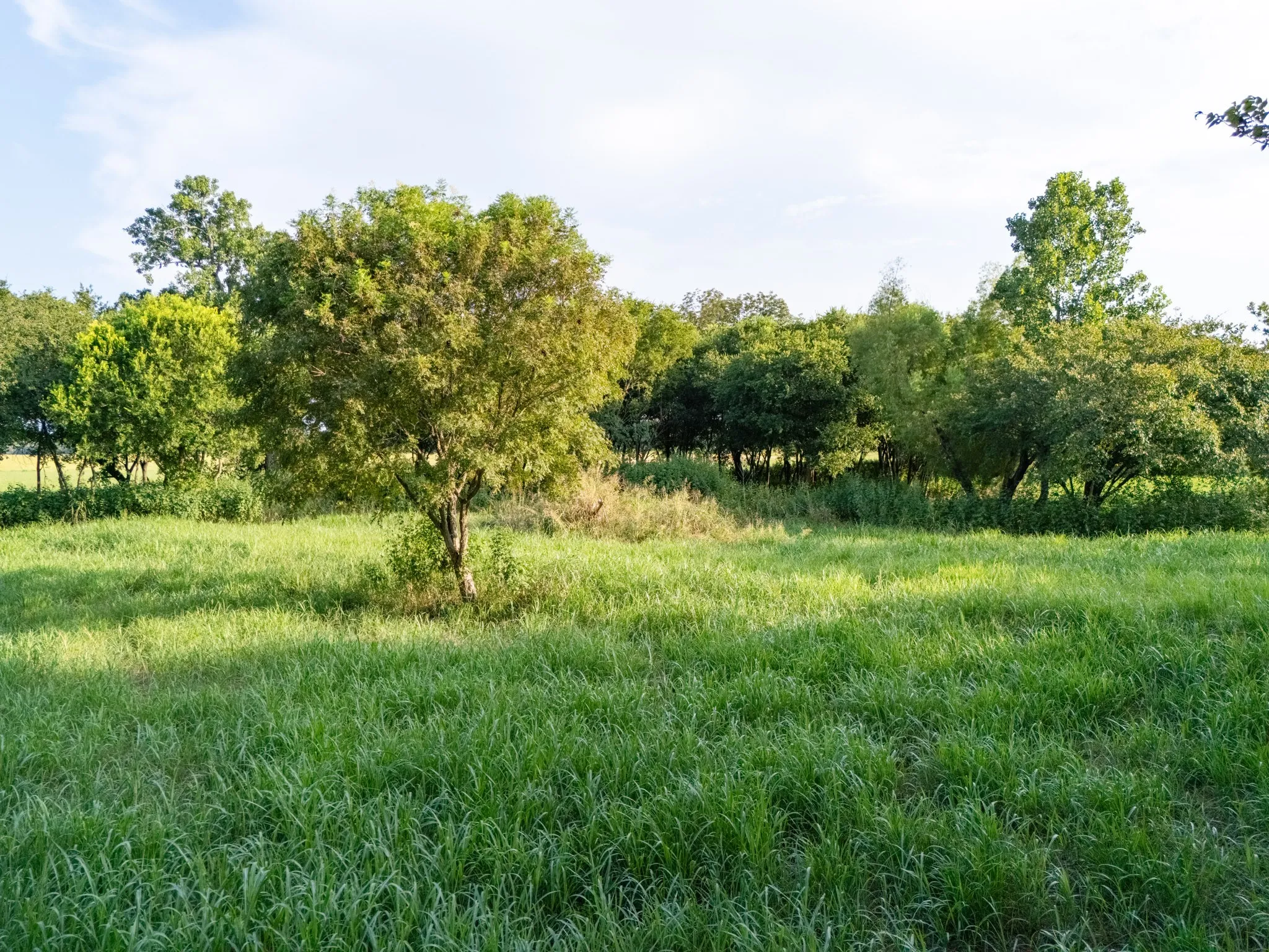 Unimproved Land For Sale in Bosque County , 24+/- ac. TBD Hwy 6, Valley Mills, Texas 76689, 0, 0, Garage spaces, 0 Sqft, built in 0, mls#21382565, Real Estate Agent in Valley Mills, Homes For Sale in Bosque county, Homes For Sale in Valley Mills, Realtor in Valley Mills Texas, Real Estate Brokerage Independent Realty Texas, Luminita Cordes Realtor