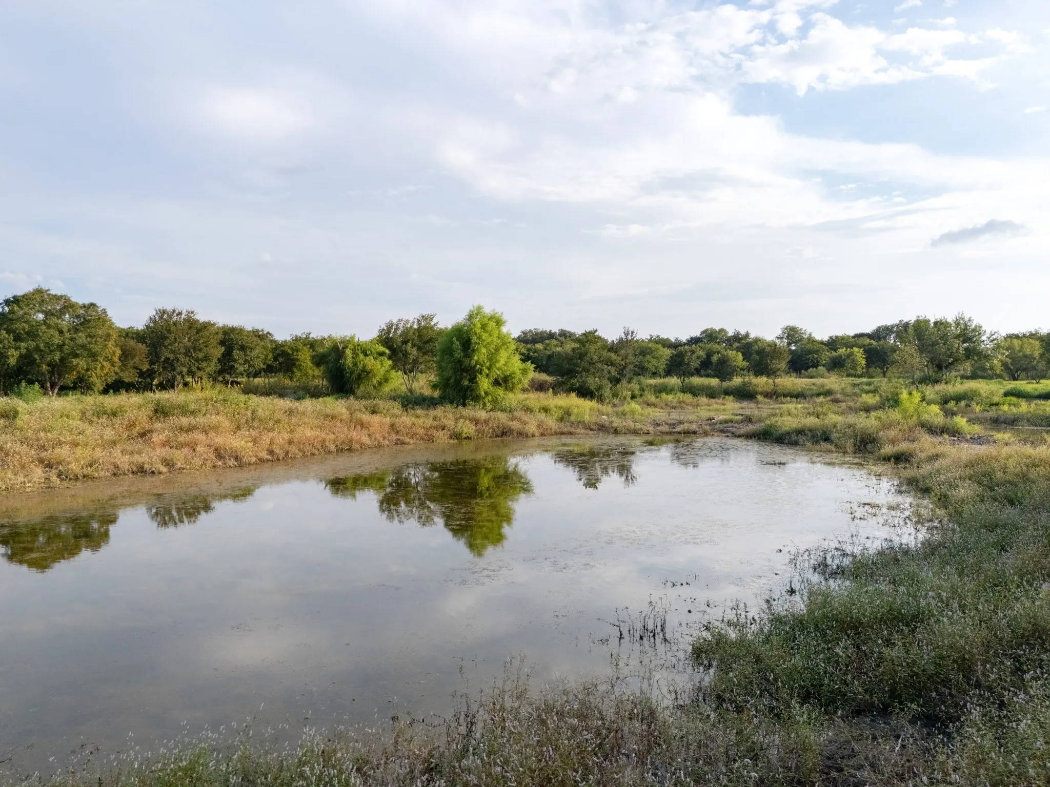 Unimproved Land For Sale in Bosque County , 24+/- ac. TBD Hwy 6, Valley Mills, Texas 76689, 0, 0, Garage spaces, 0 Sqft, built in 0, mls#21382565, Real Estate Agent in Valley Mills, Homes For Sale in Bosque county, Homes For Sale in Valley Mills, Realtor in Valley Mills Texas, Real Estate Brokerage Independent Realty Texas, Luminita Cordes Realtor