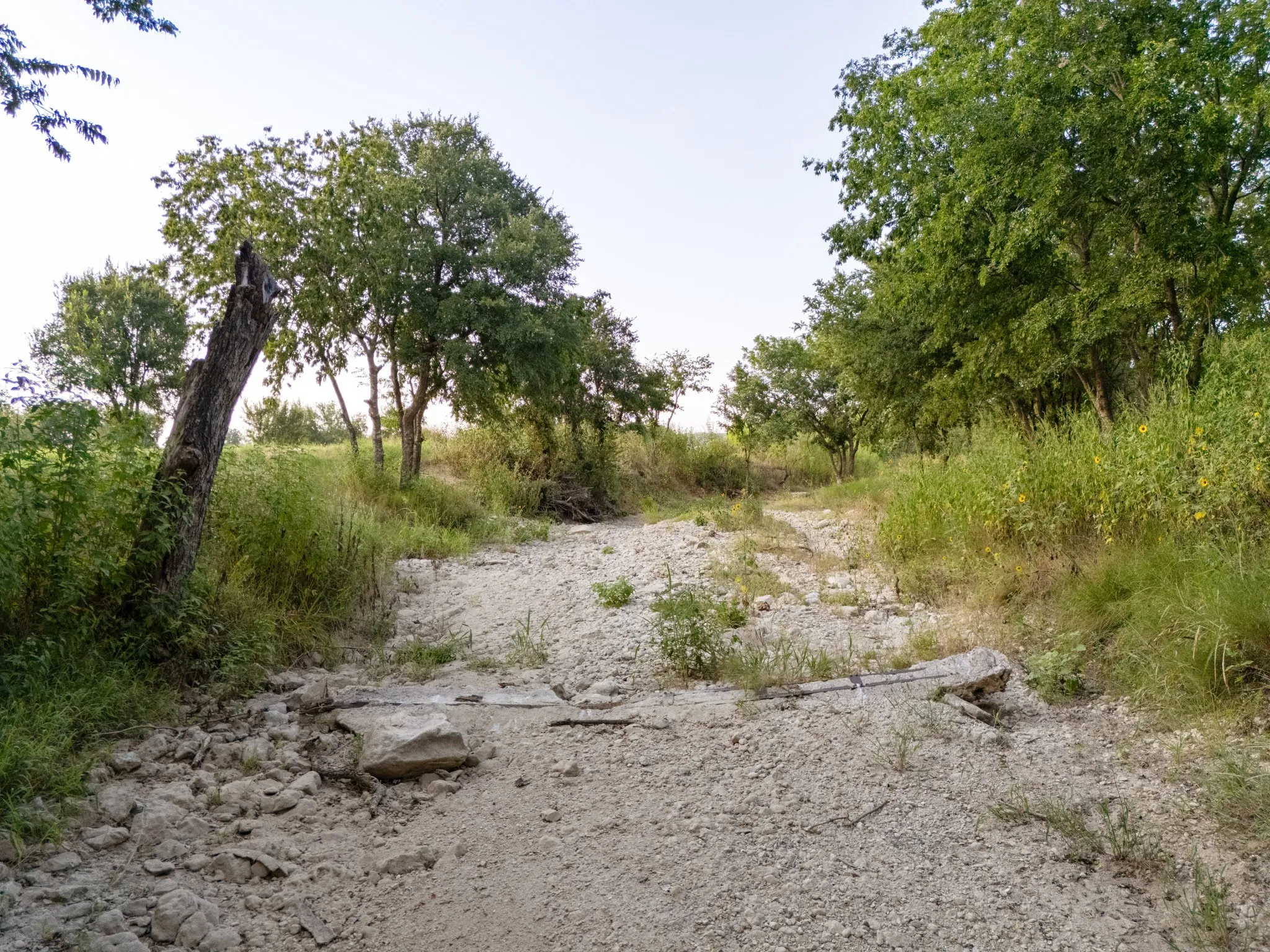 Unimproved Land For Sale in Bosque County , 24+/- ac. TBD Hwy 6, Valley Mills, Texas 76689, 0, 0, Garage spaces, 0 Sqft, built in 0, mls#21382565, Real Estate Agent in Valley Mills, Homes For Sale in Bosque county, Homes For Sale in Valley Mills, Realtor in Valley Mills Texas, Real Estate Brokerage Independent Realty Texas, Luminita Cordes Realtor