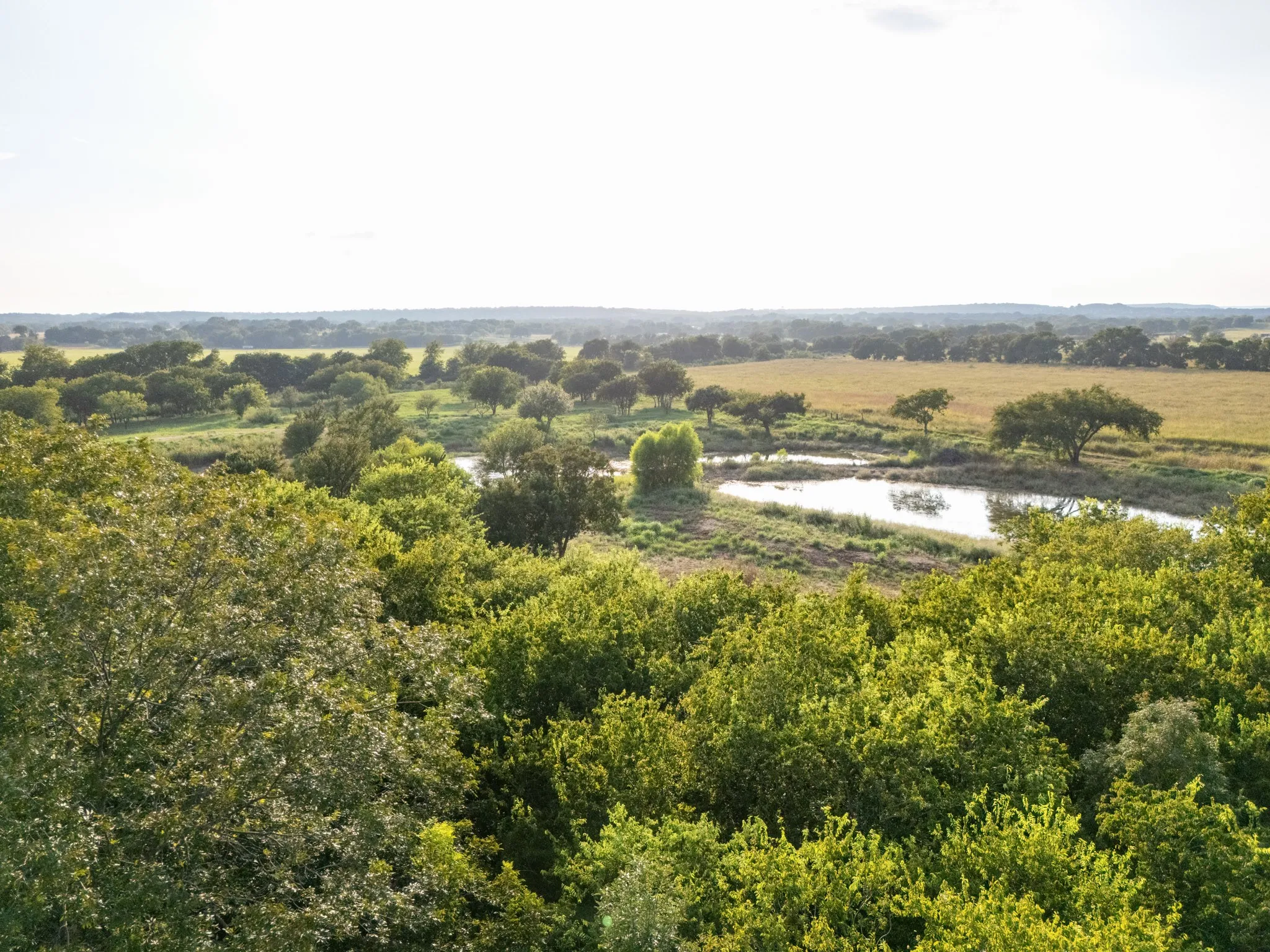 Unimproved Land For Sale in Bosque County , 24+/- ac. TBD Hwy 6, Valley Mills, Texas 76689, 0, 0, Garage spaces, 0 Sqft, built in 0, mls#21382565, Real Estate Agent in Valley Mills, Homes For Sale in Bosque county, Homes For Sale in Valley Mills, Realtor in Valley Mills Texas, Real Estate Brokerage Independent Realty Texas, Luminita Cordes Realtor
