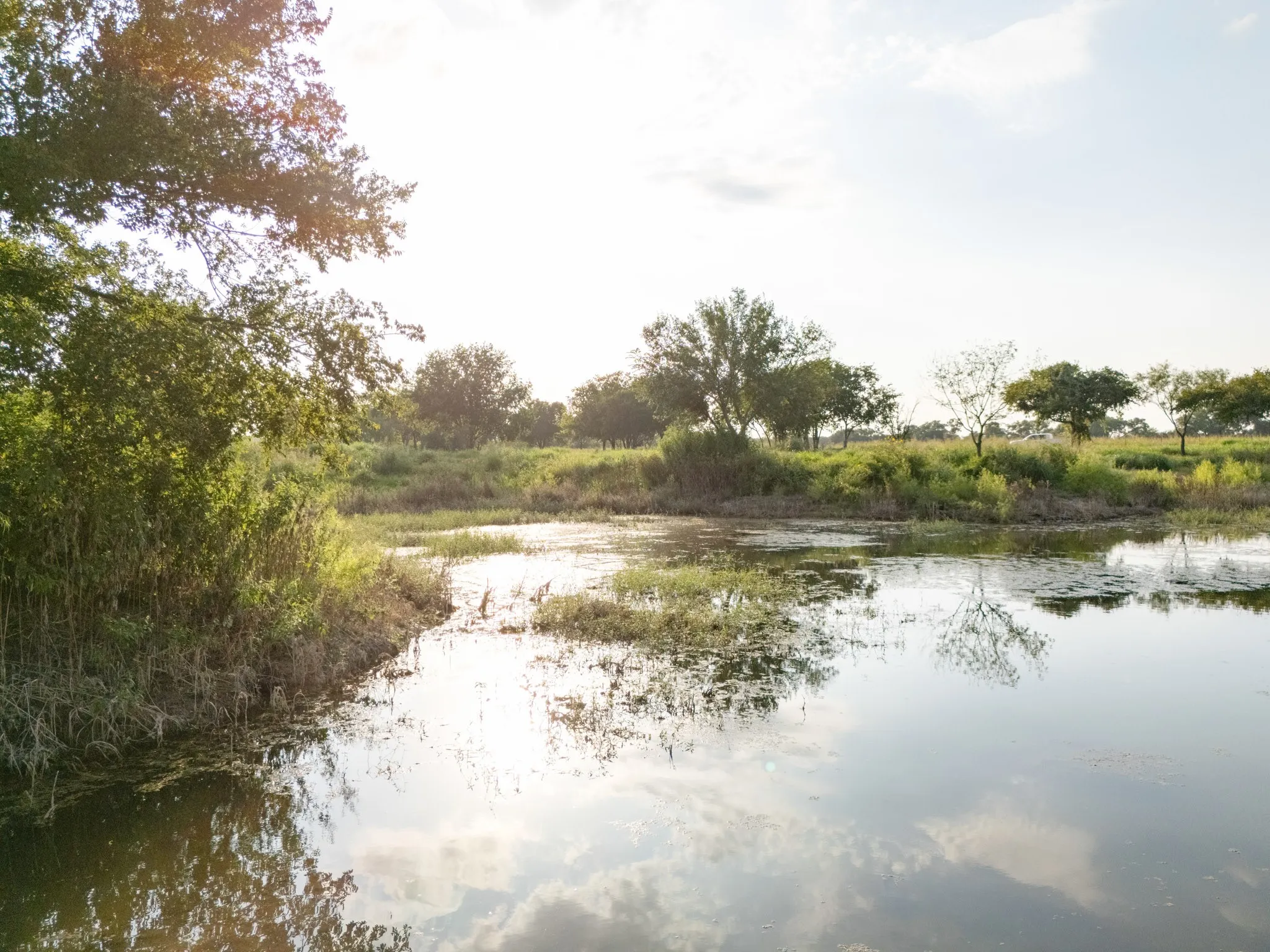 Unimproved Land For Sale in Bosque County , 24+/- ac. TBD Hwy 6, Valley Mills, Texas 76689, 0, 0, Garage spaces, 0 Sqft, built in 0, mls#21382565, Real Estate Agent in Valley Mills, Homes For Sale in Bosque county, Homes For Sale in Valley Mills, Realtor in Valley Mills Texas, Real Estate Brokerage Independent Realty Texas, Luminita Cordes Realtor