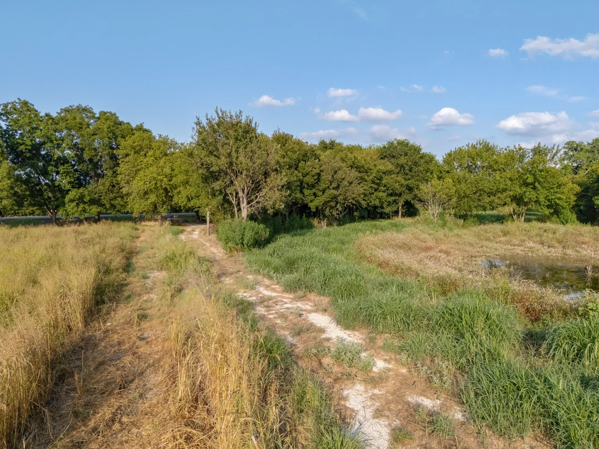 Unimproved Land For Sale in Bosque County , 24+/- ac. TBD Hwy 6, Valley Mills, Texas 76689, 0, 0, Garage spaces, 0 Sqft, built in 0, mls#21382565, Real Estate Agent in Valley Mills, Homes For Sale in Bosque county, Homes For Sale in Valley Mills, Realtor in Valley Mills Texas, Real Estate Brokerage Independent Realty Texas, Luminita Cordes Realtor