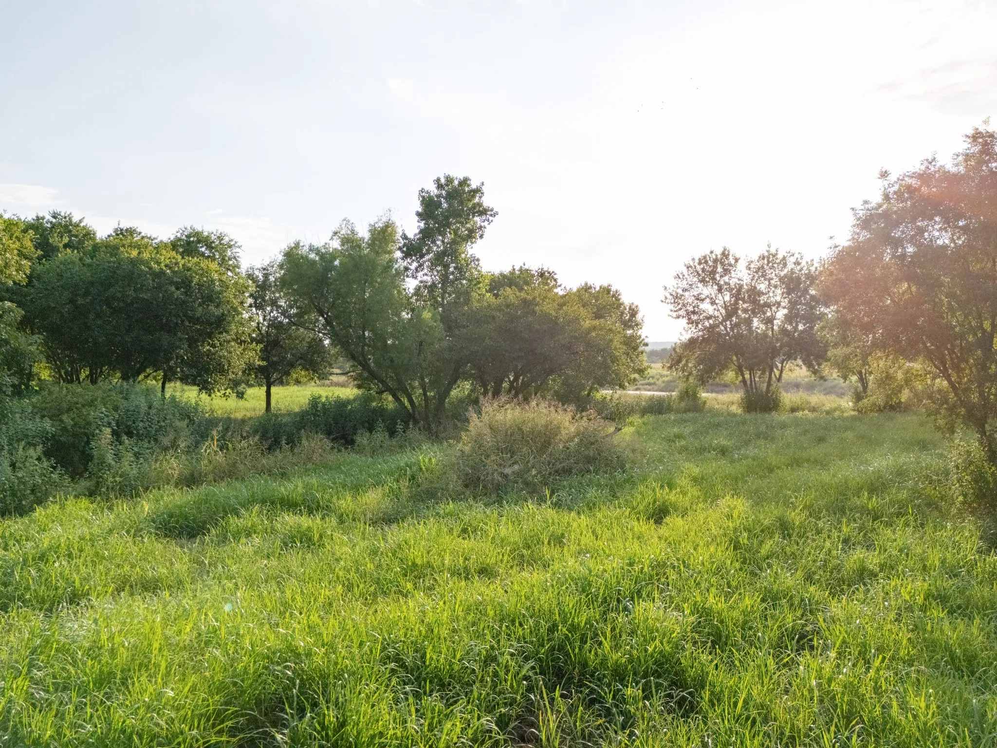 Unimproved Land For Sale in Bosque County , 24+/- ac. TBD Hwy 6, Valley Mills, Texas 76689, 0, 0, Garage spaces, 0 Sqft, built in 0, mls#21382565, Real Estate Agent in Valley Mills, Homes For Sale in Bosque county, Homes For Sale in Valley Mills, Realtor in Valley Mills Texas, Real Estate Brokerage Independent Realty Texas, Luminita Cordes Realtor