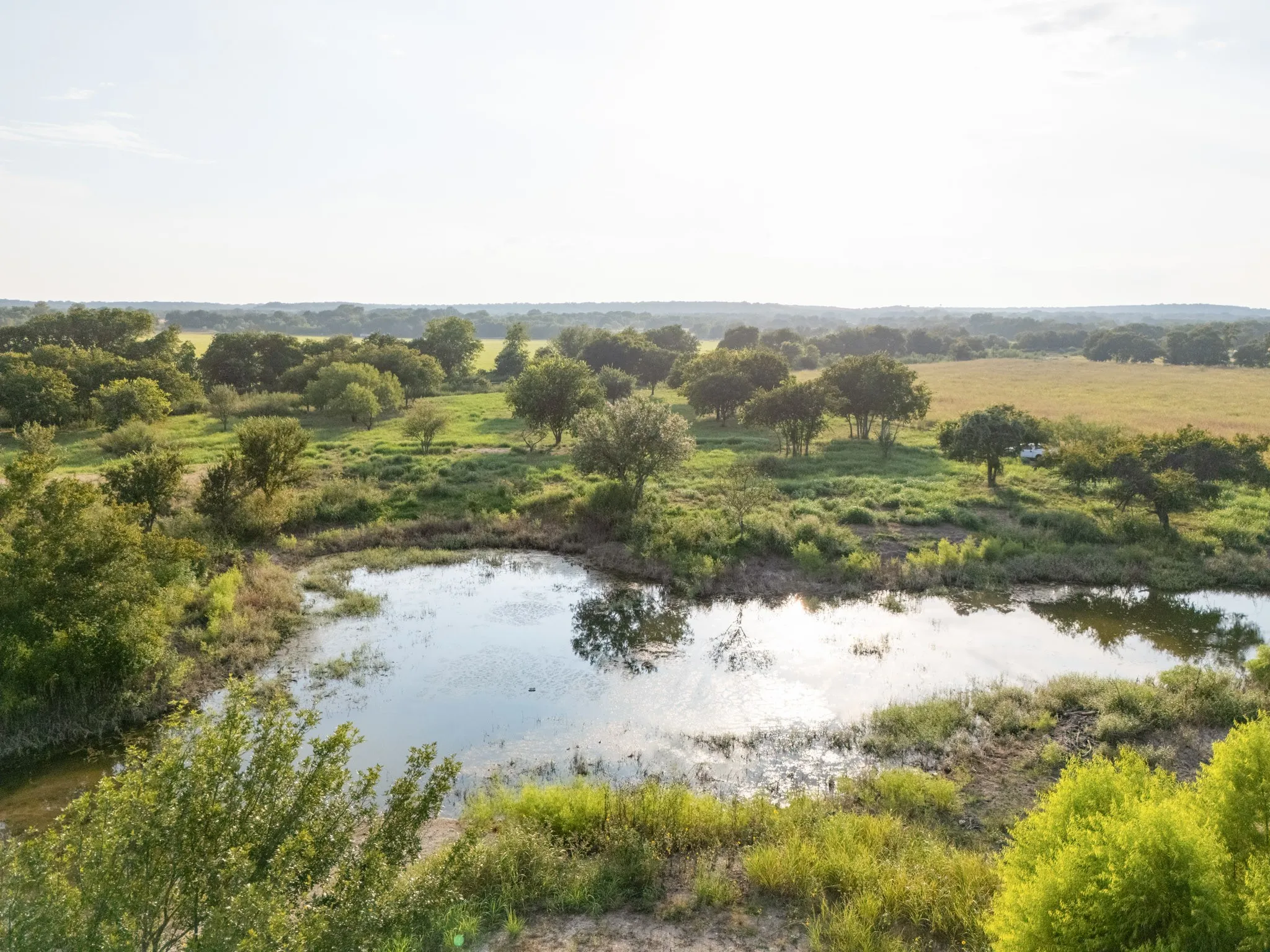 Unimproved Land For Sale in Bosque County , 24+/- ac. TBD Hwy 6, Valley Mills, Texas 76689, 0, 0, Garage spaces, 0 Sqft, built in 0, mls#21382565, Real Estate Agent in Valley Mills, Homes For Sale in Bosque county, Homes For Sale in Valley Mills, Realtor in Valley Mills Texas, Real Estate Brokerage Independent Realty Texas, Luminita Cordes Realtor