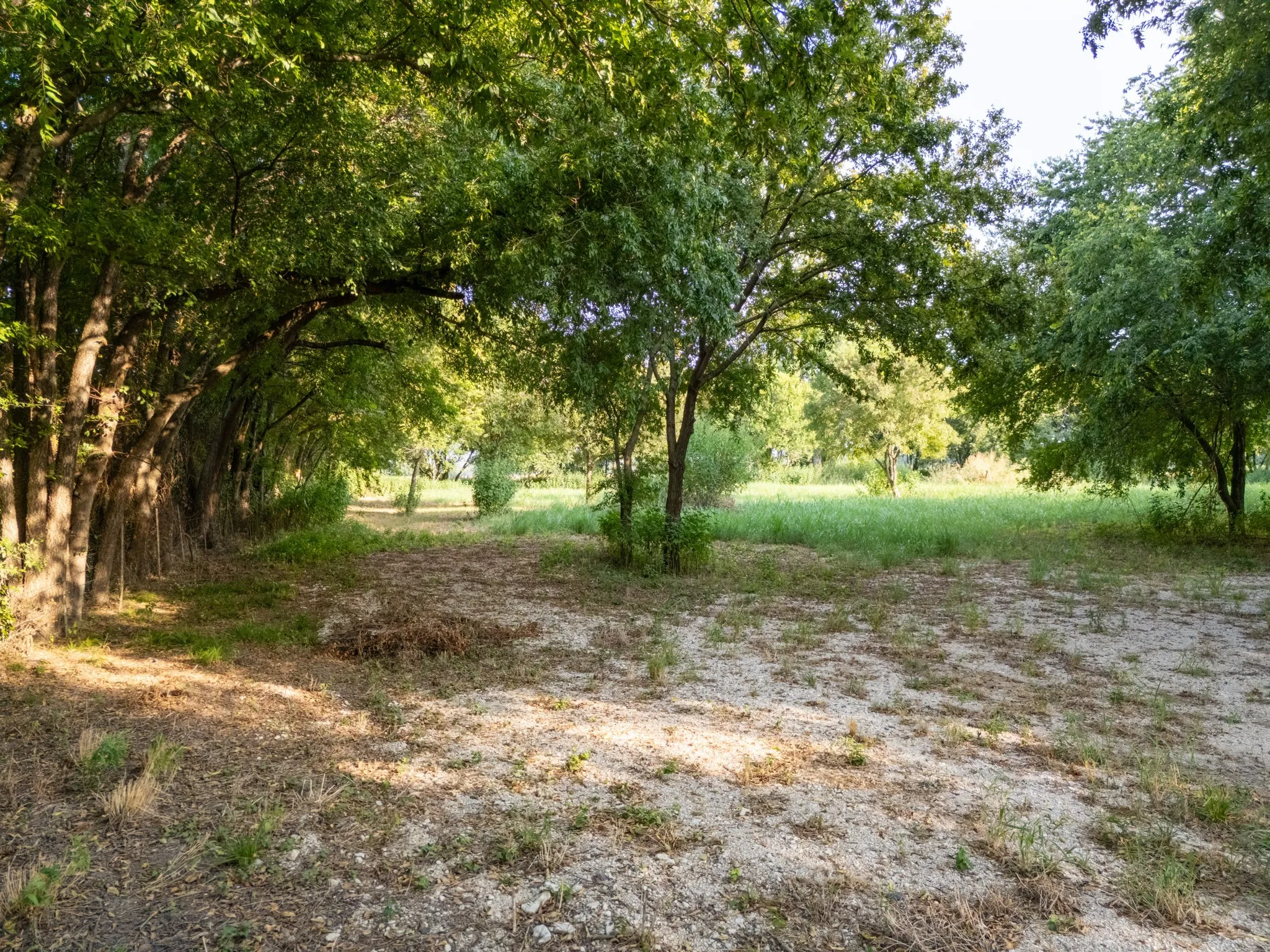 Unimproved Land For Sale in Bosque County , 24+/- ac. TBD Hwy 6, Valley Mills, Texas 76689, 0, 0, Garage spaces, 0 Sqft, built in 0, mls#21382565, Real Estate Agent in Valley Mills, Homes For Sale in Bosque county, Homes For Sale in Valley Mills, Realtor in Valley Mills Texas, Real Estate Brokerage Independent Realty Texas, Luminita Cordes Realtor