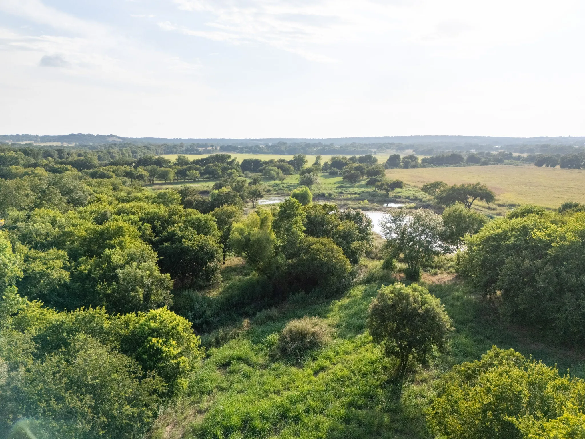Unimproved Land For Sale in Bosque County , 24+/- ac. TBD Hwy 6, Valley Mills, Texas 76689, 0, 0, Garage spaces, 0 Sqft, built in 0, mls#21382565, Real Estate Agent in Valley Mills, Homes For Sale in Bosque county, Homes For Sale in Valley Mills, Realtor in Valley Mills Texas, Real Estate Brokerage Independent Realty Texas, Luminita Cordes Realtor