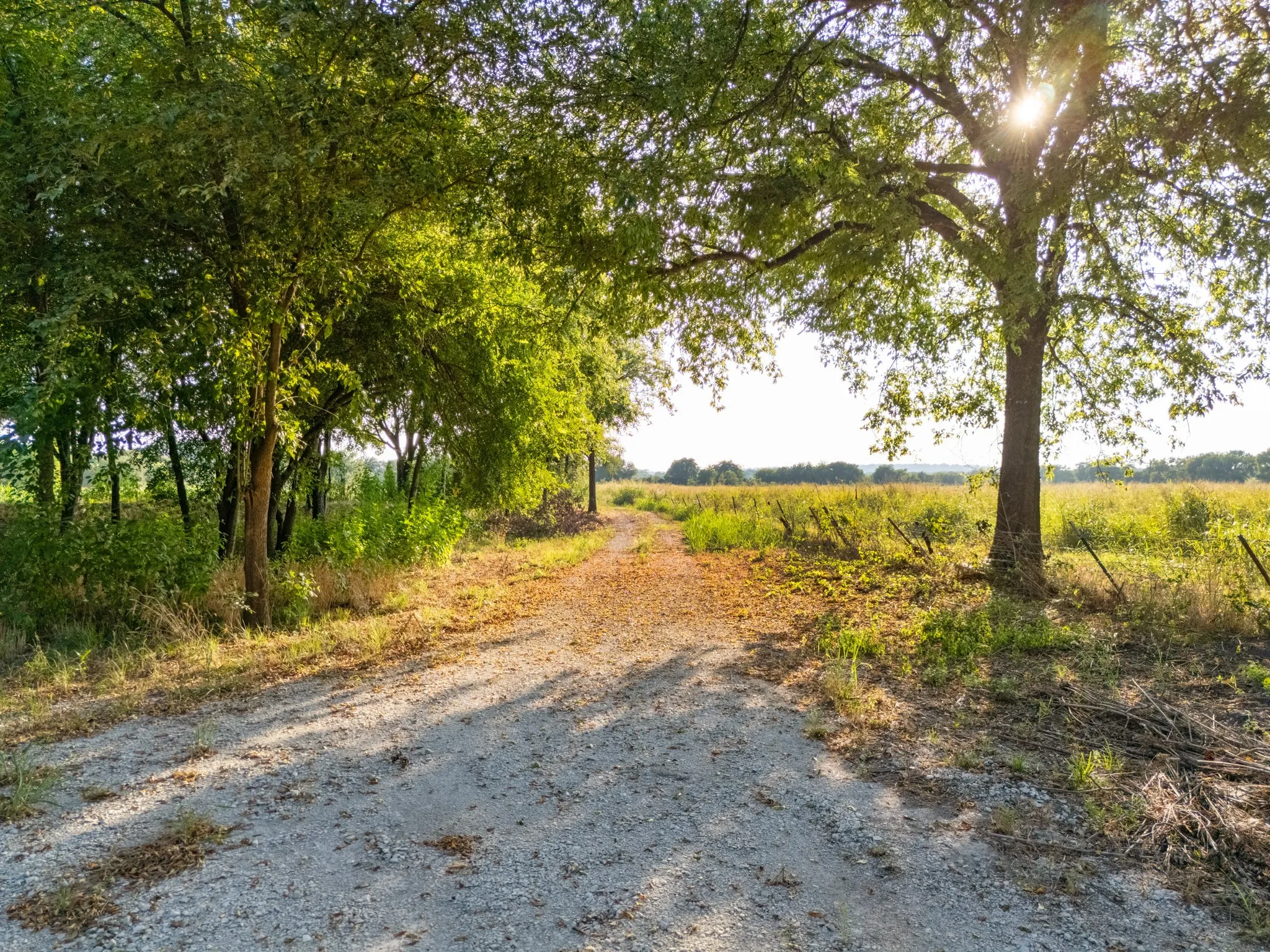 Unimproved Land For Sale in Bosque County , 24+/- ac. TBD Hwy 6, Valley Mills, Texas 76689, 0, 0, Garage spaces, 0 Sqft, built in 0, mls#21382565, Real Estate Agent in Valley Mills, Homes For Sale in Bosque county, Homes For Sale in Valley Mills, Realtor in Valley Mills Texas, Real Estate Brokerage Independent Realty Texas, Luminita Cordes Realtor